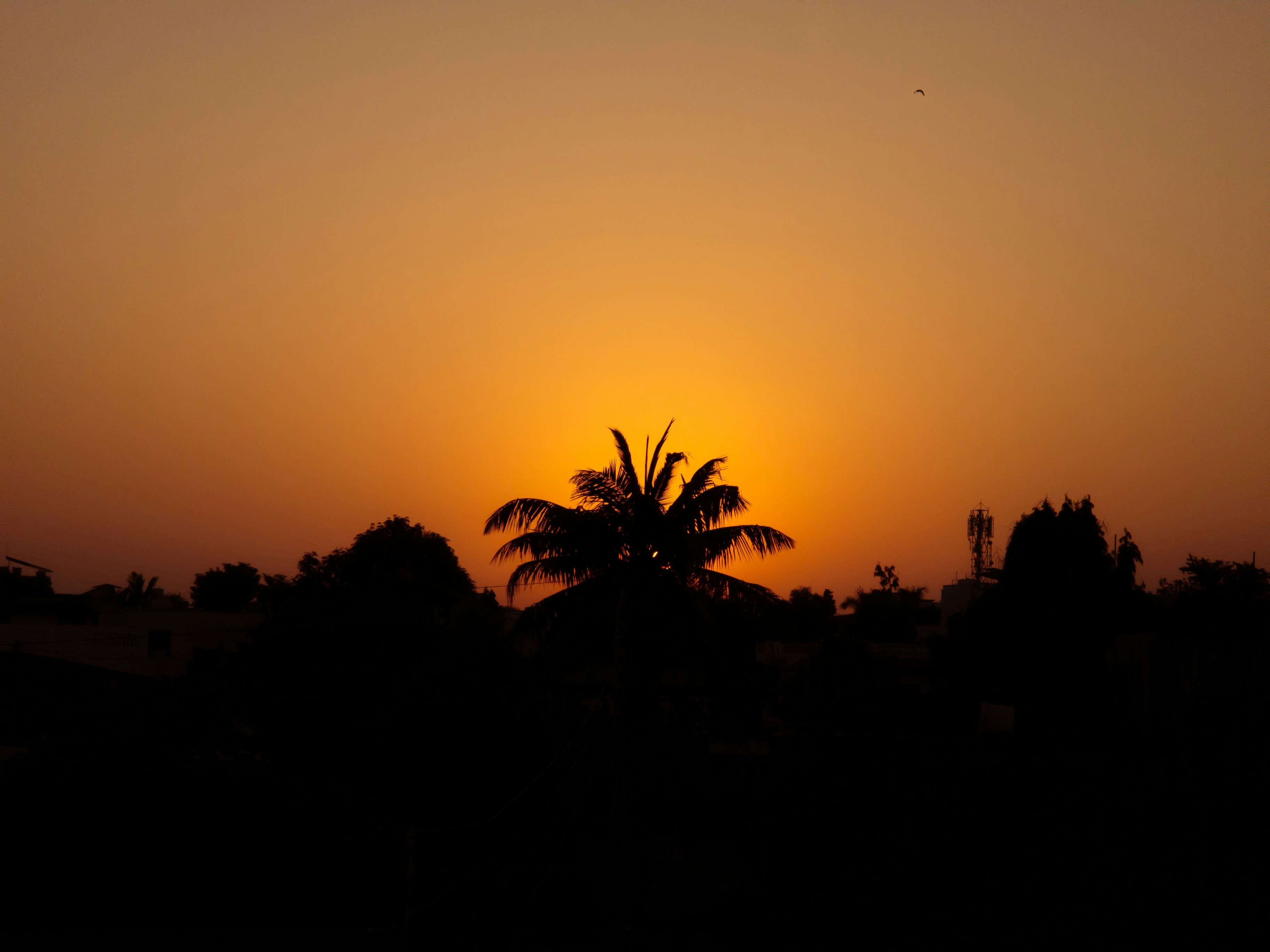 Photo by karan_suthar_