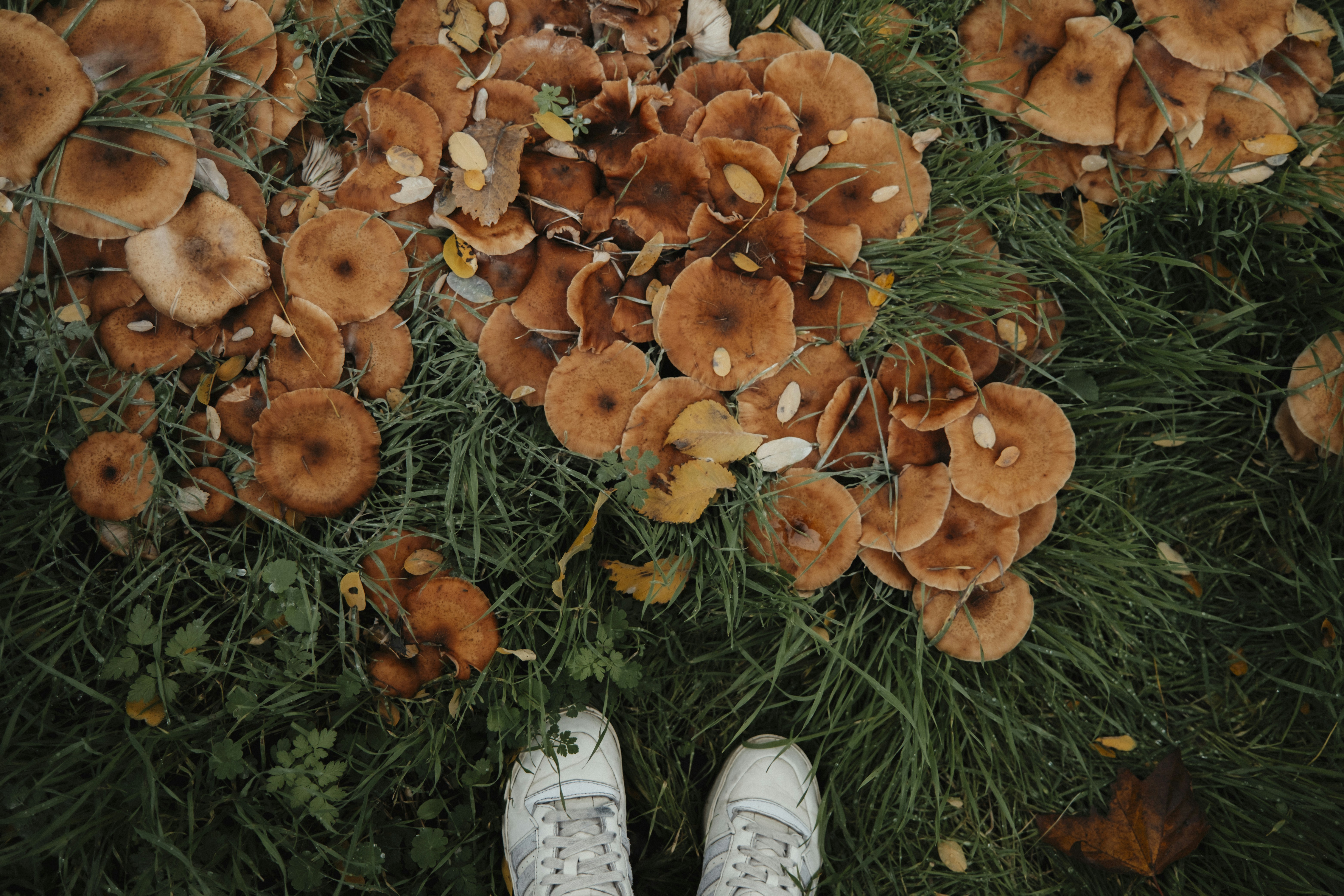 Photo by marinareich