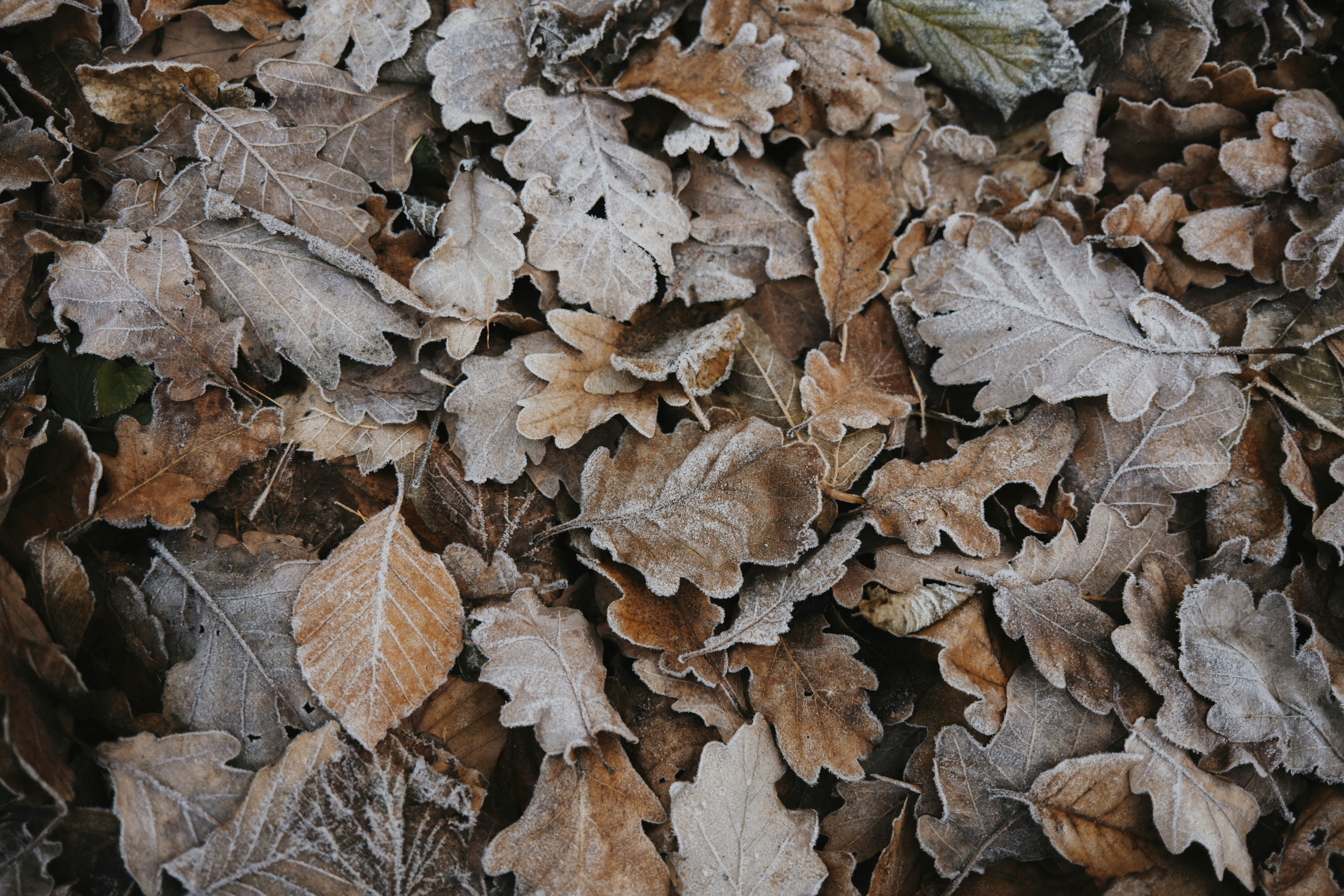 Photo by marinareich