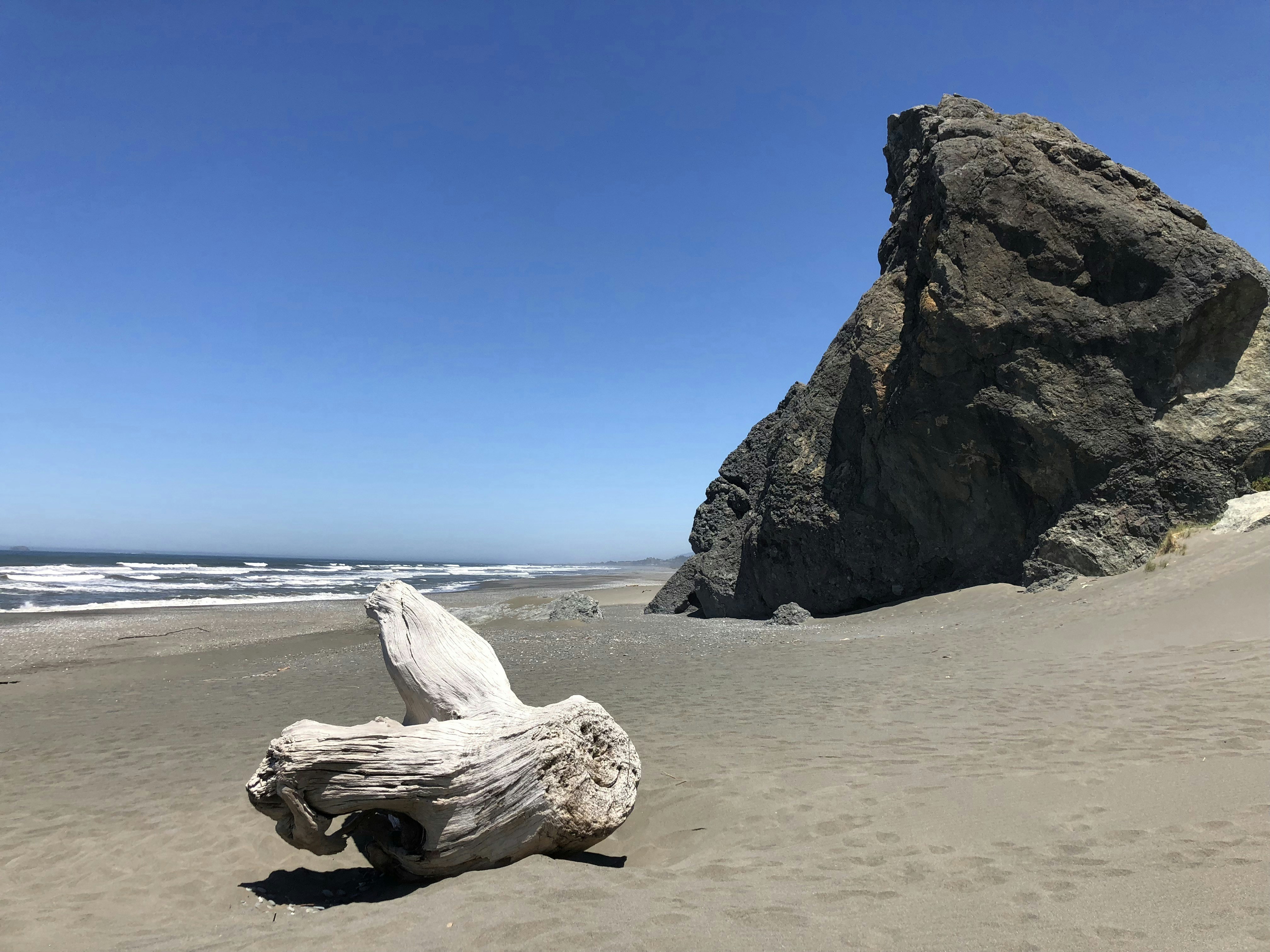 Beach With Rocks Pictures | Download Free Images on Unsplash