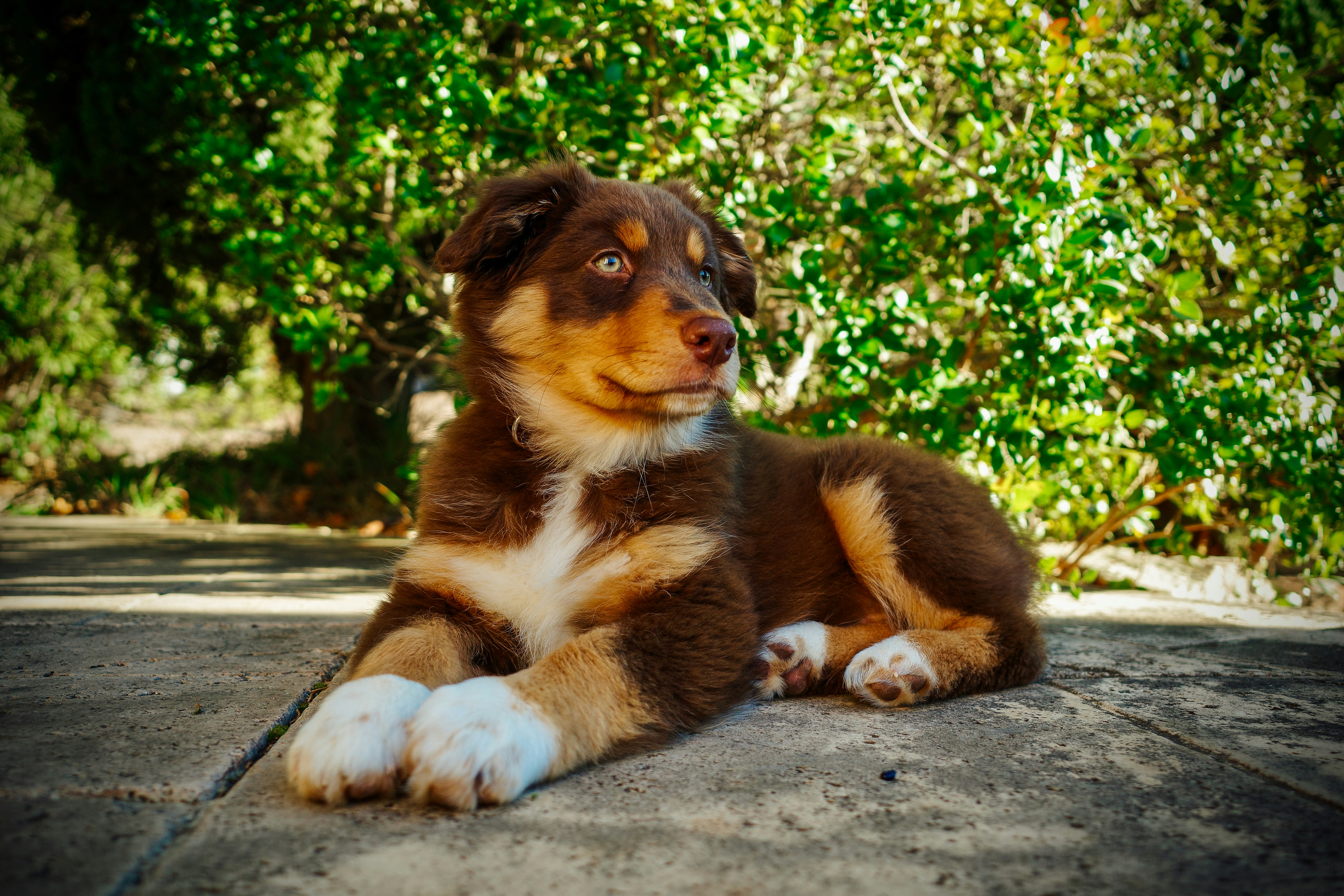 Photo by mathiasdargnat