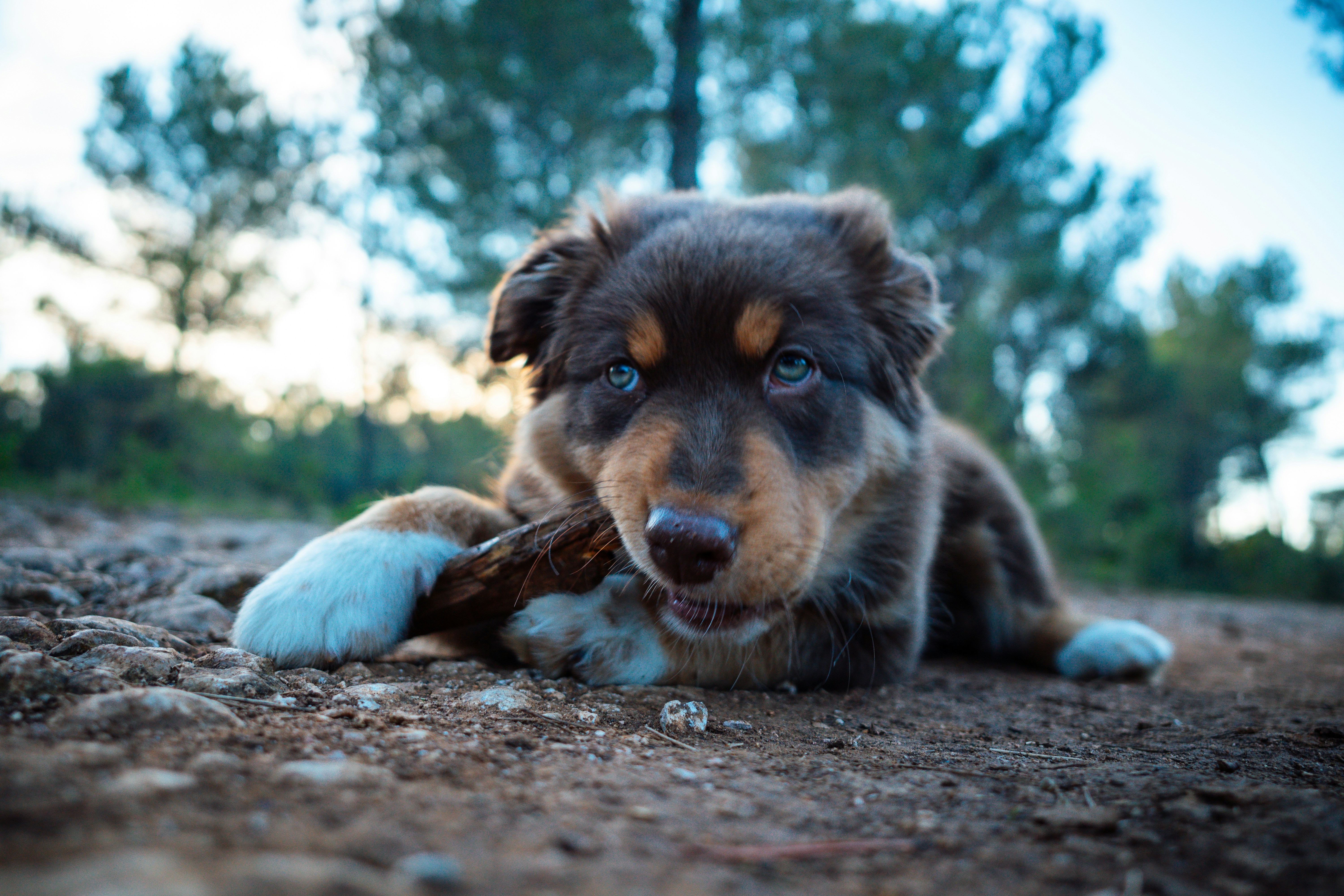 Photo by mathiasdargnat