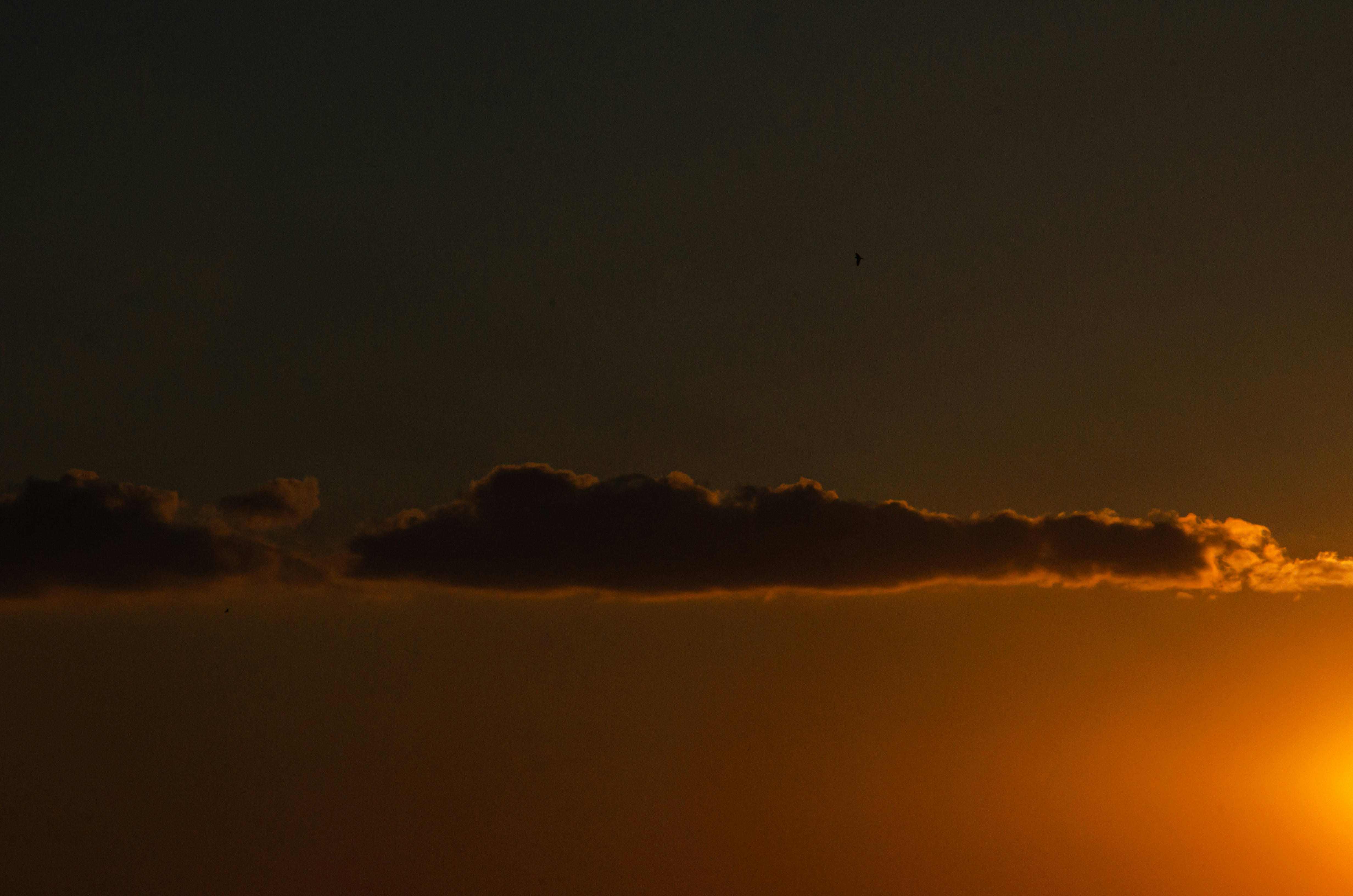 Photo by matdelpidio