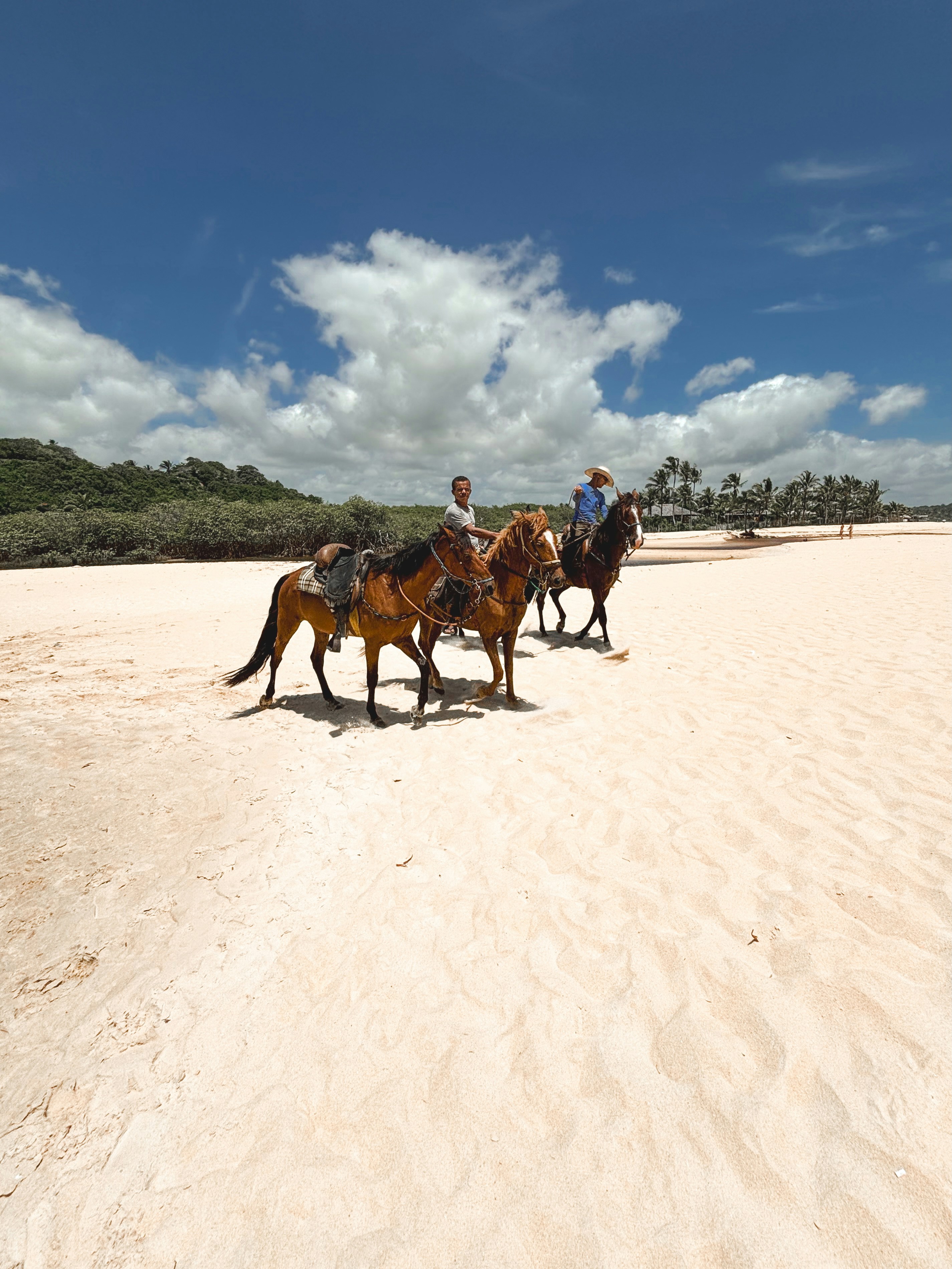 Photo by rodriguesallan