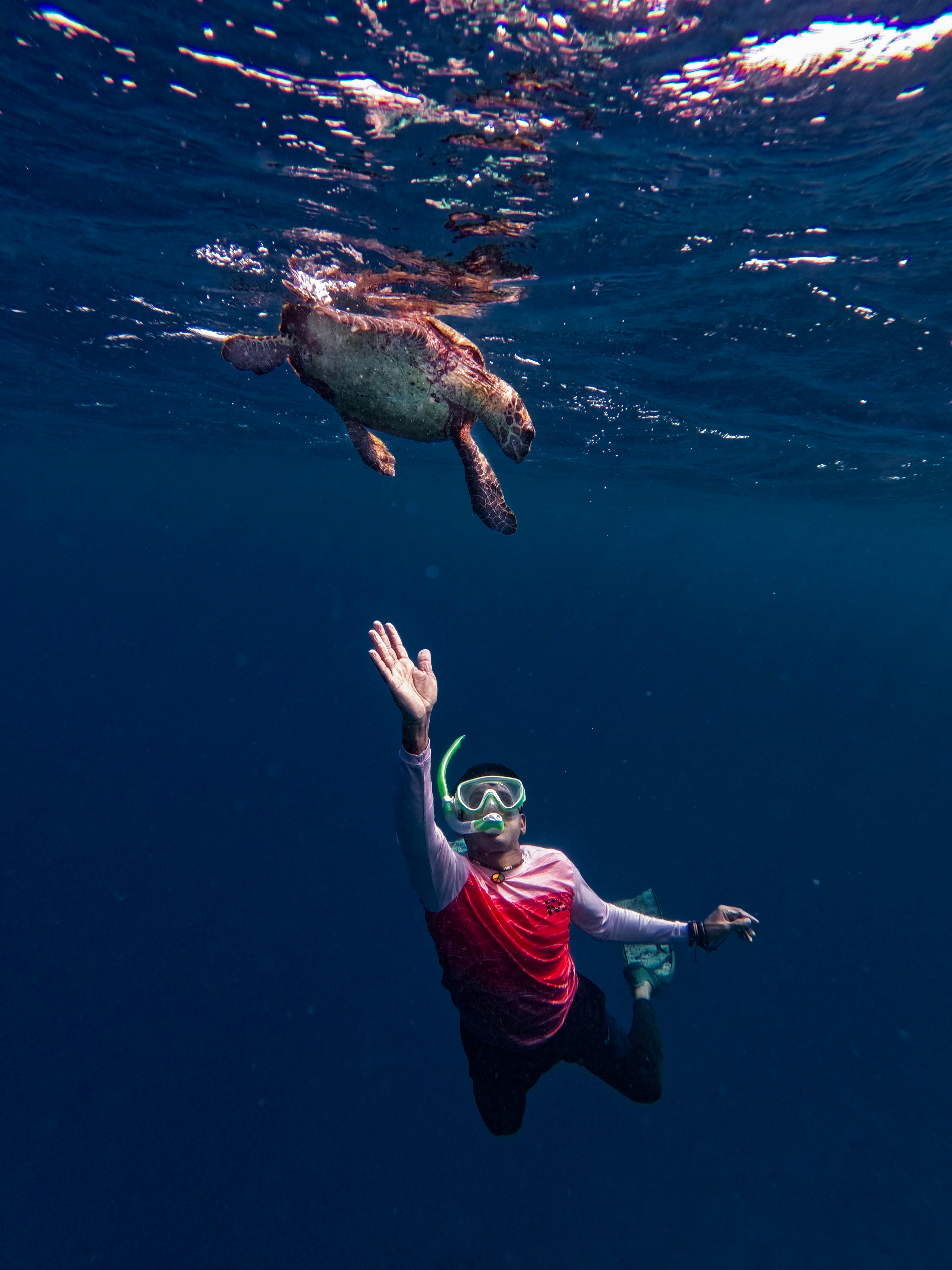A man swimming in the ocean with a turtle