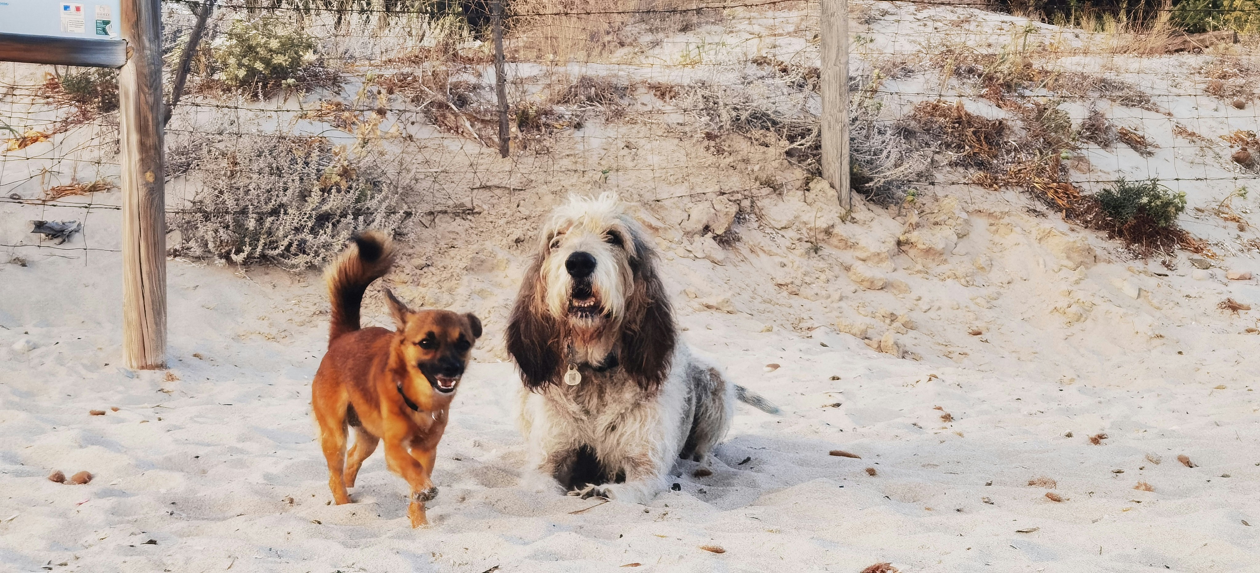 Photo by naturalmystic