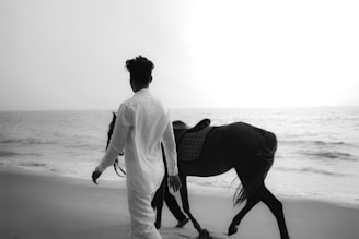 A man and a horse on the beach