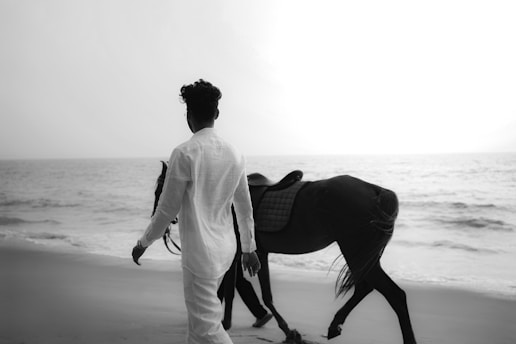 A man and a horse on the beach