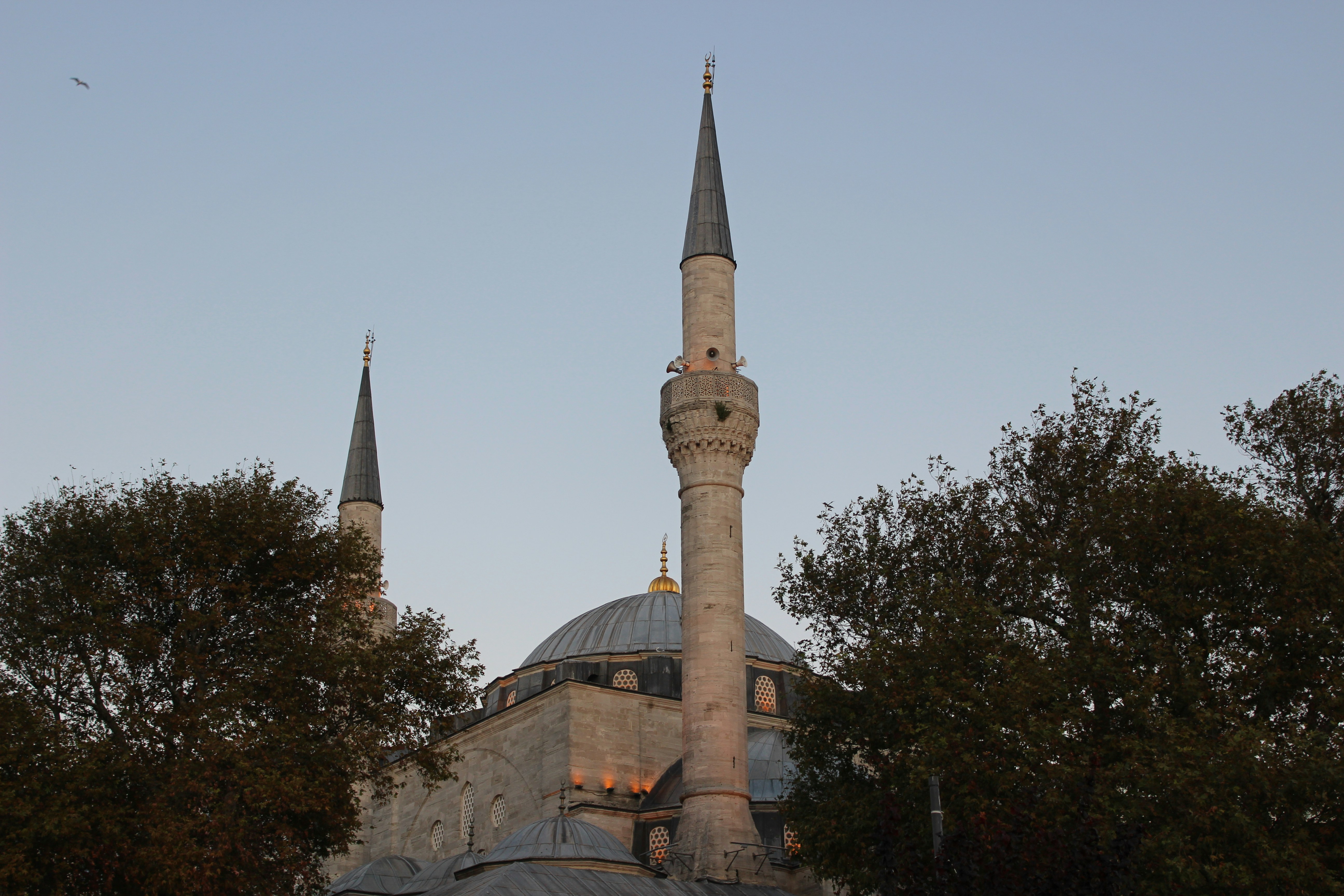 Photo by rudagallery