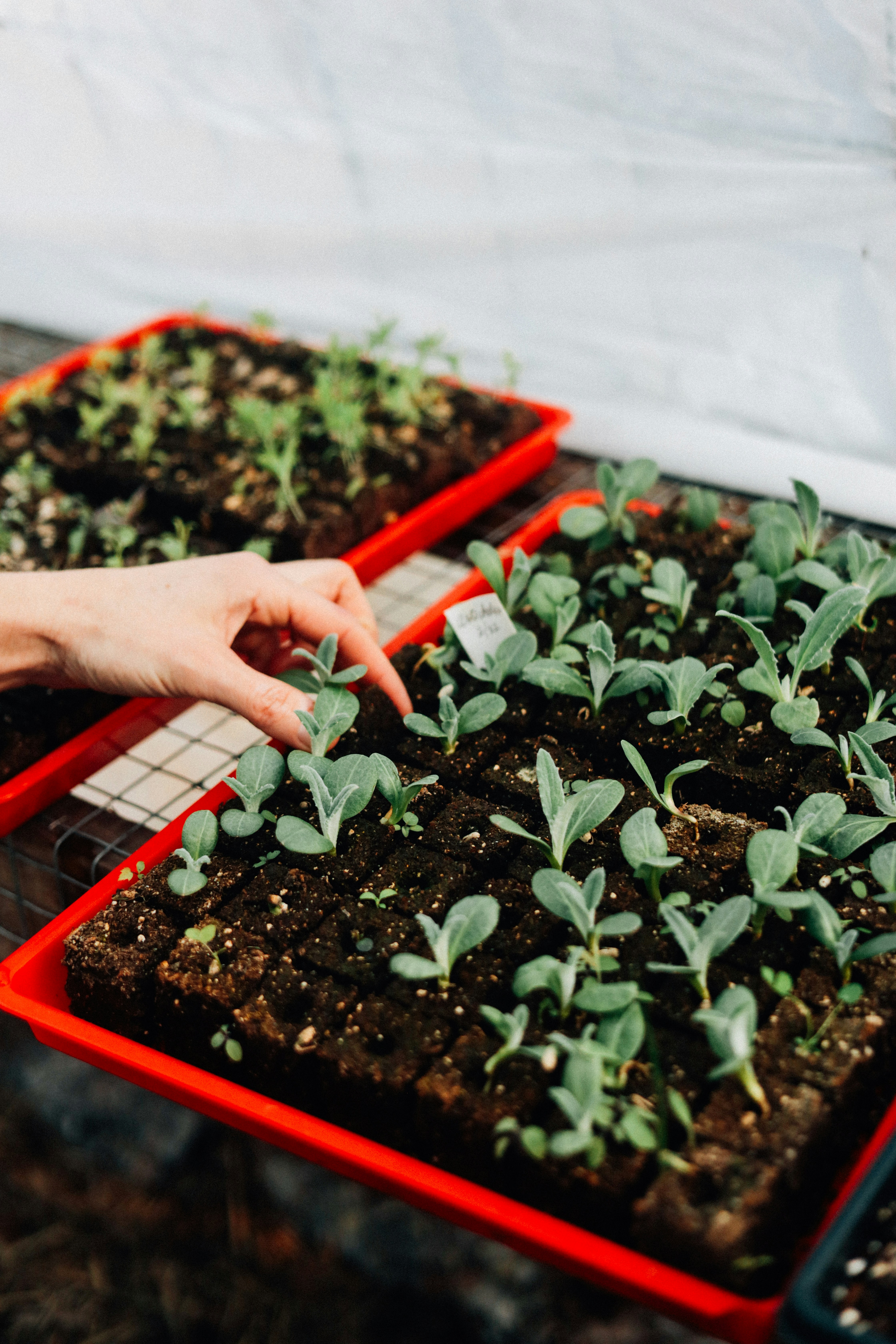 Photo by lululovering