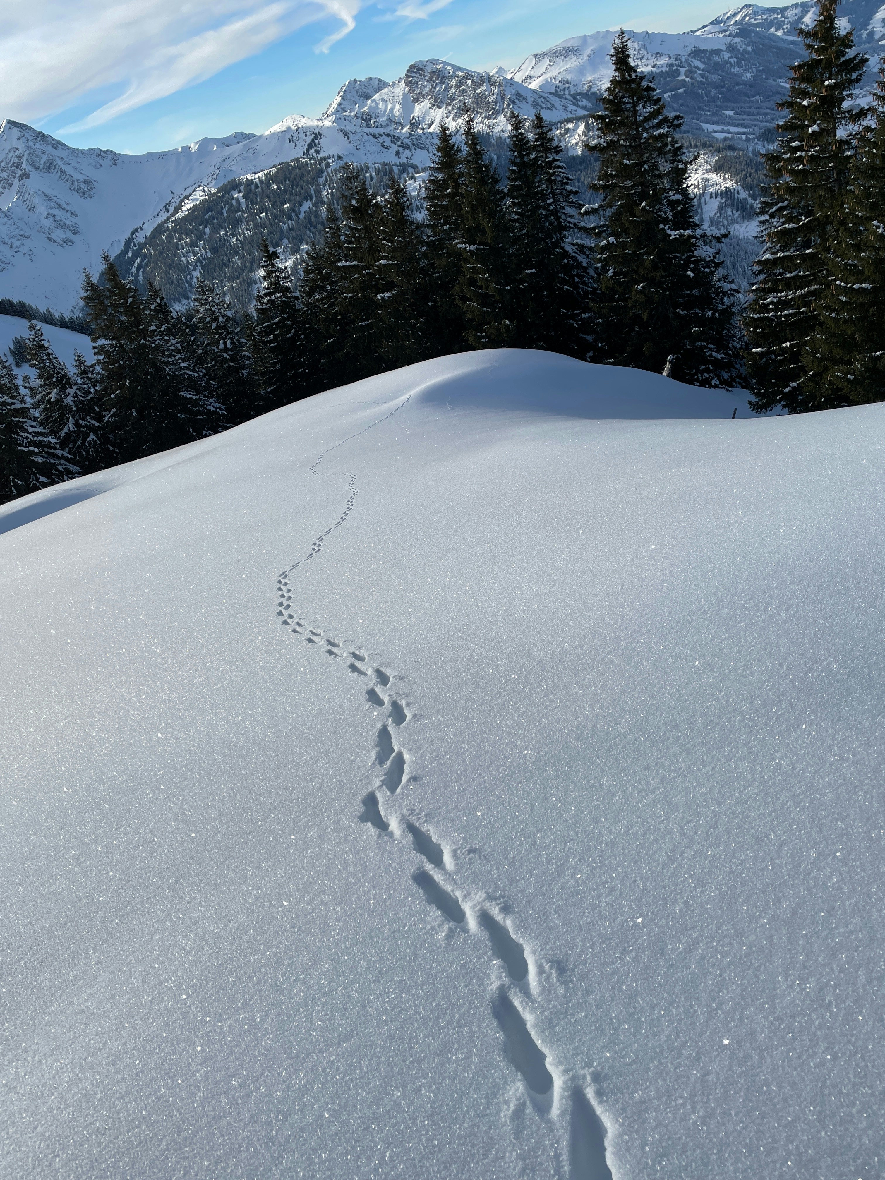 A person walking across a snow covered slope