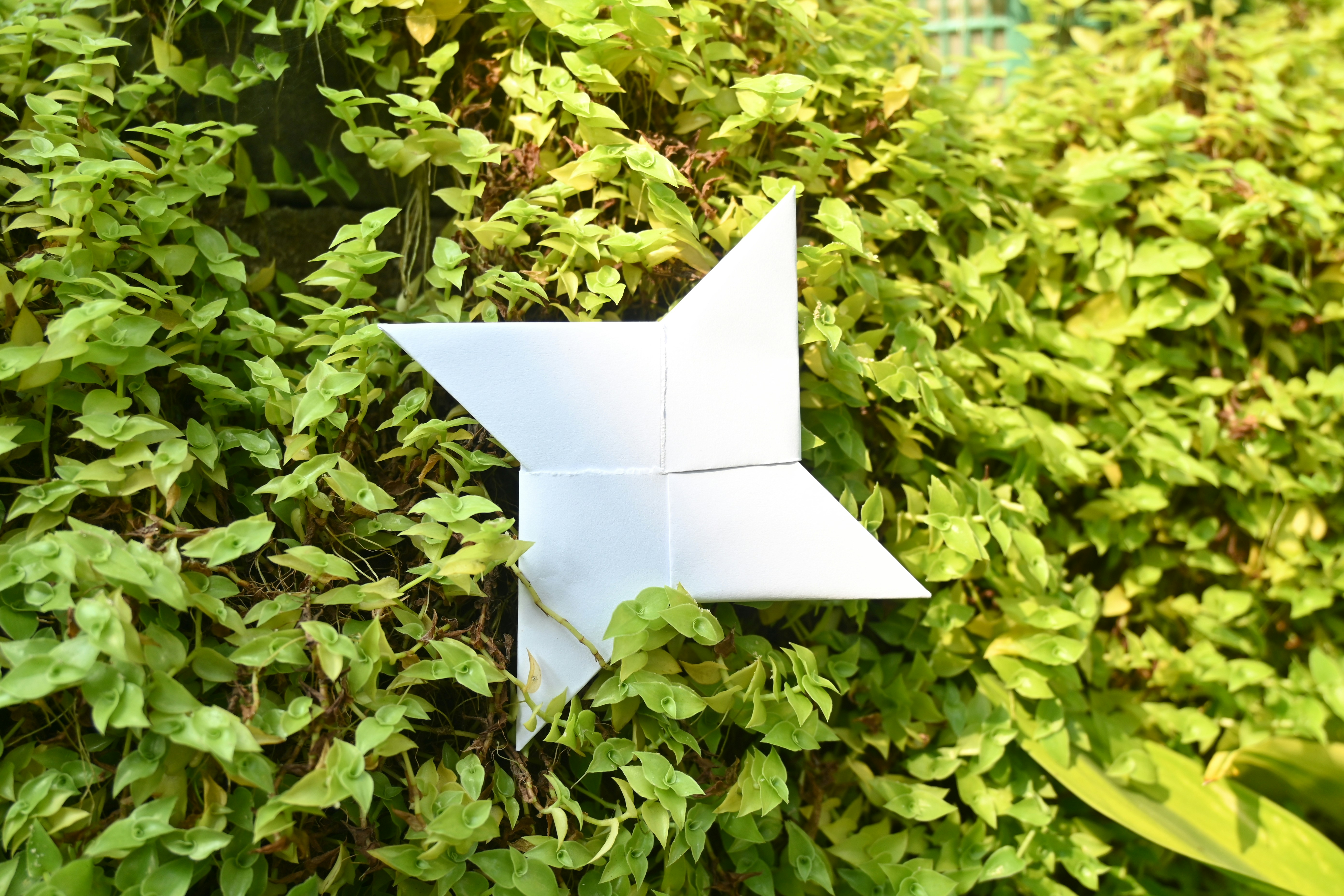 A white origami star sitting on top of a lush green field