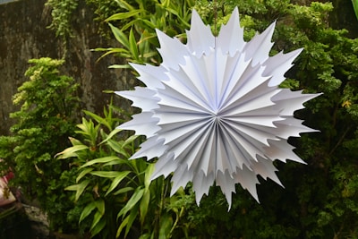A white paper flower sitting on top of a lush green forest