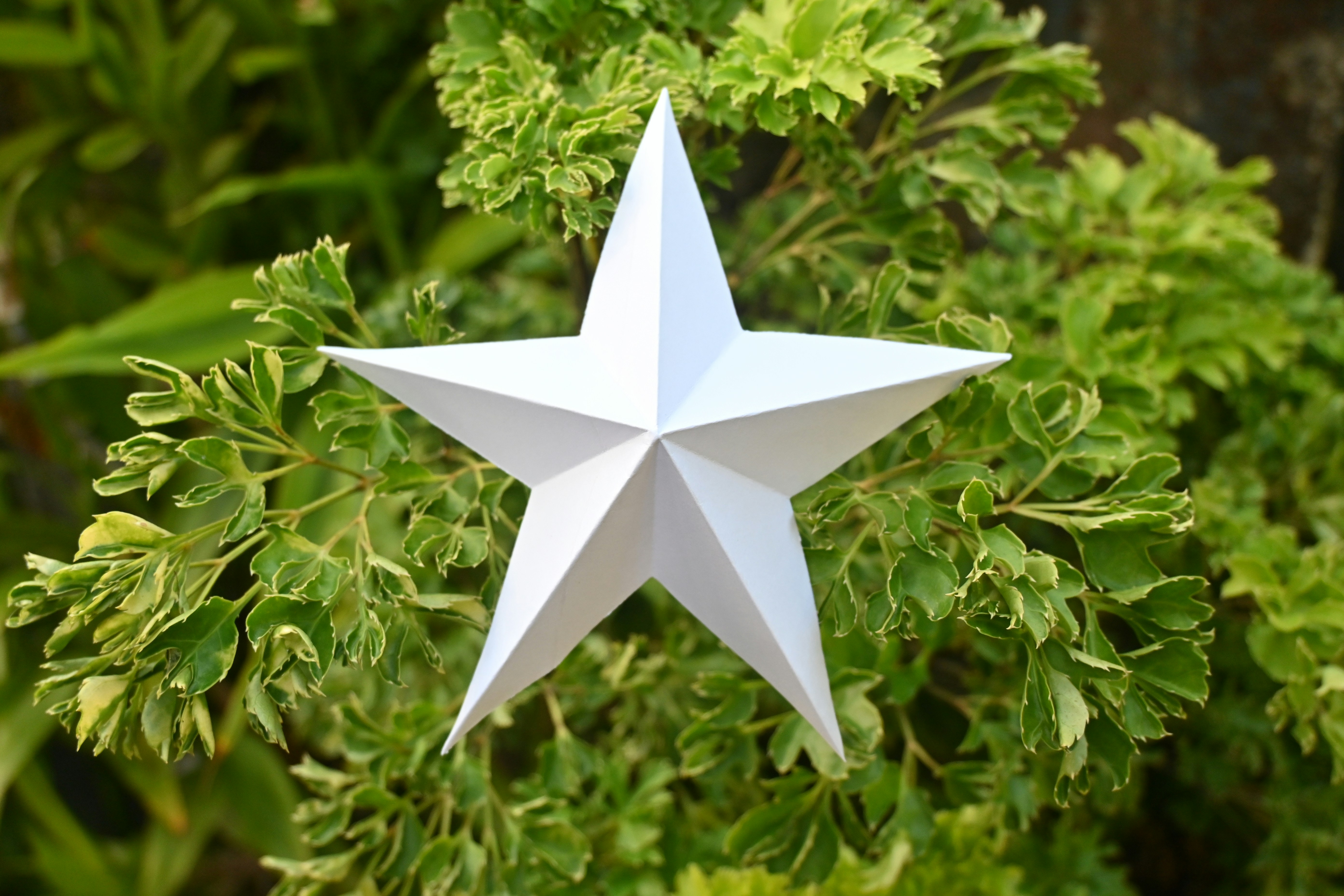 O Pentáculo do Bem-estar