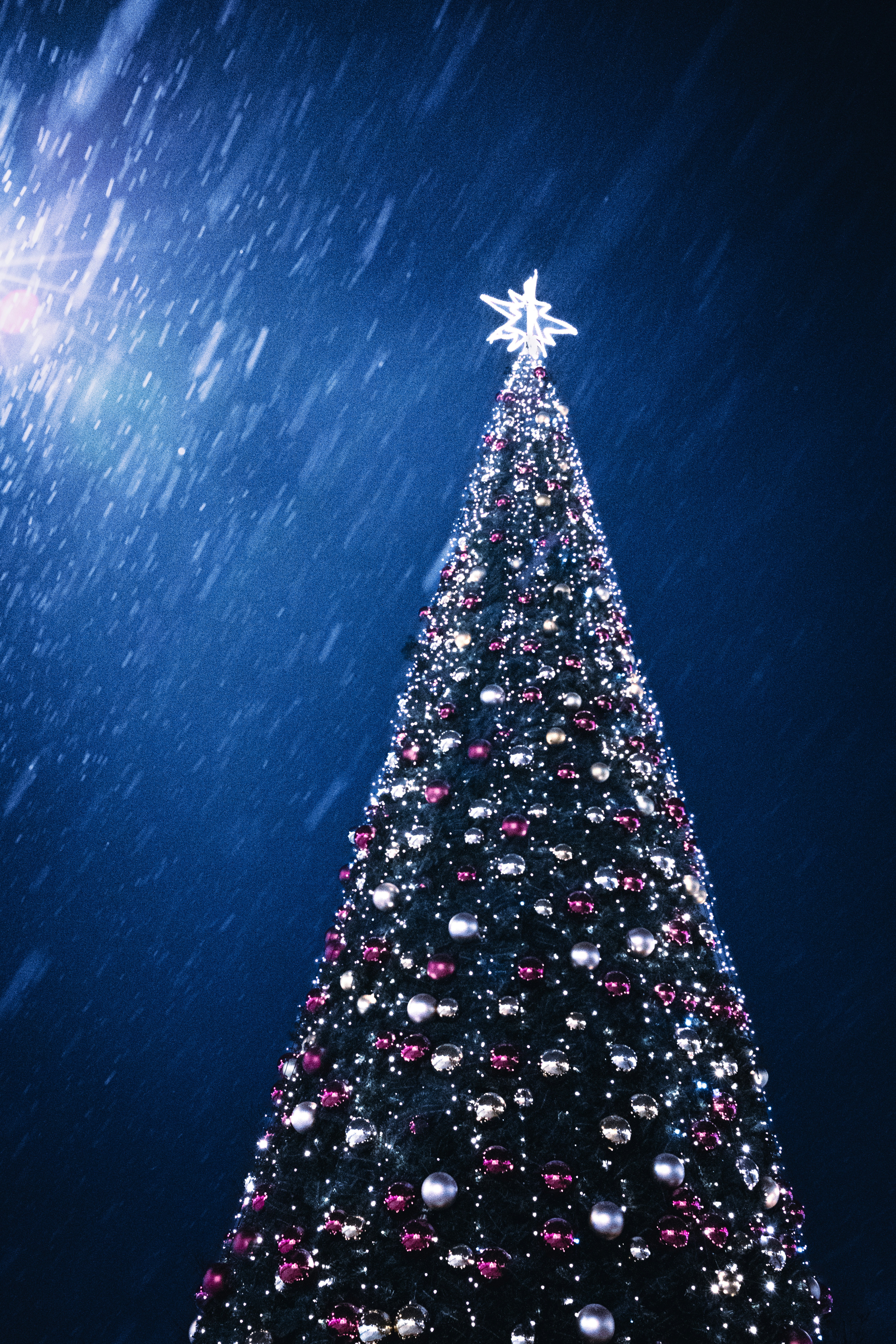 Photo by stef_enheart