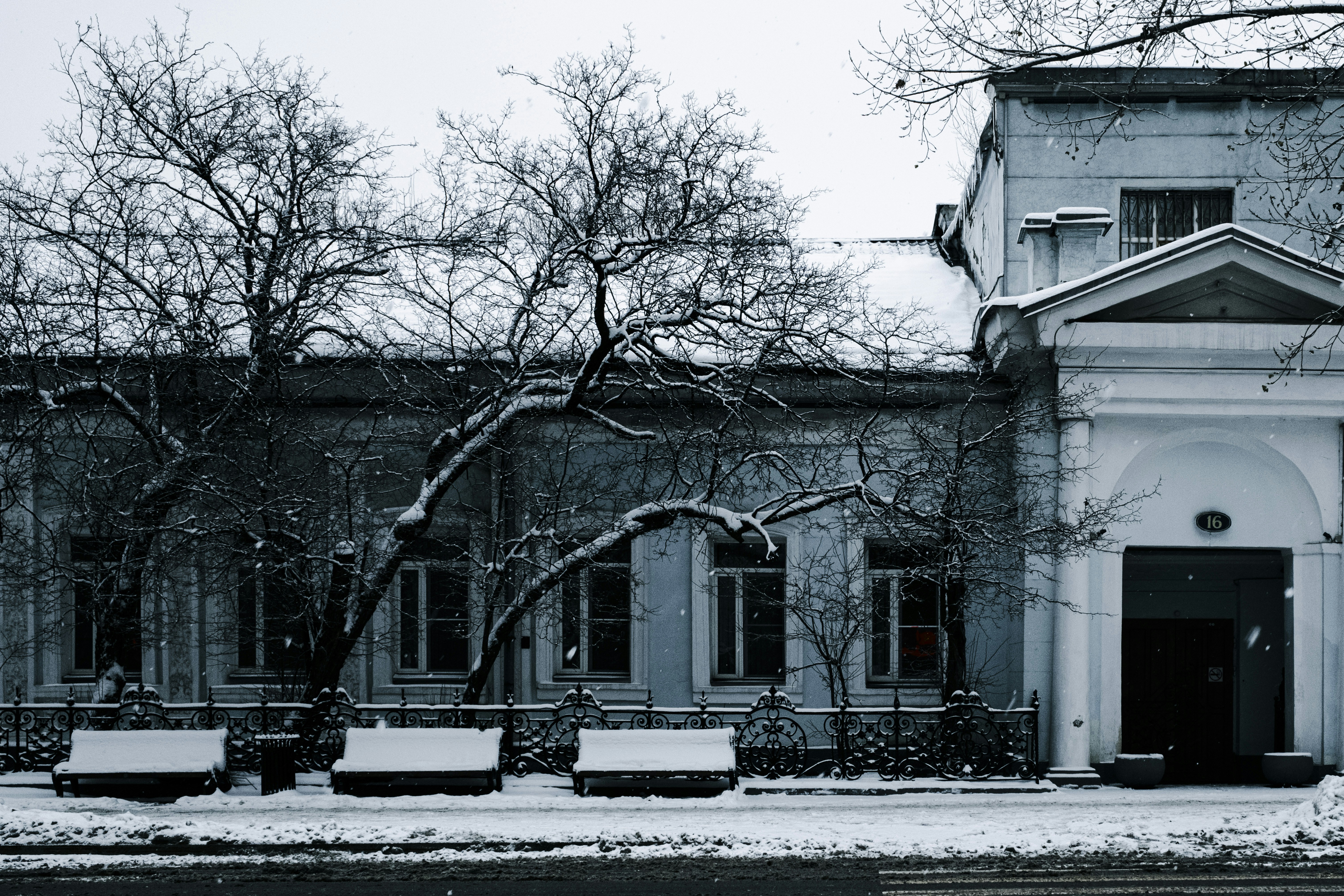 Photo by stef_enheart