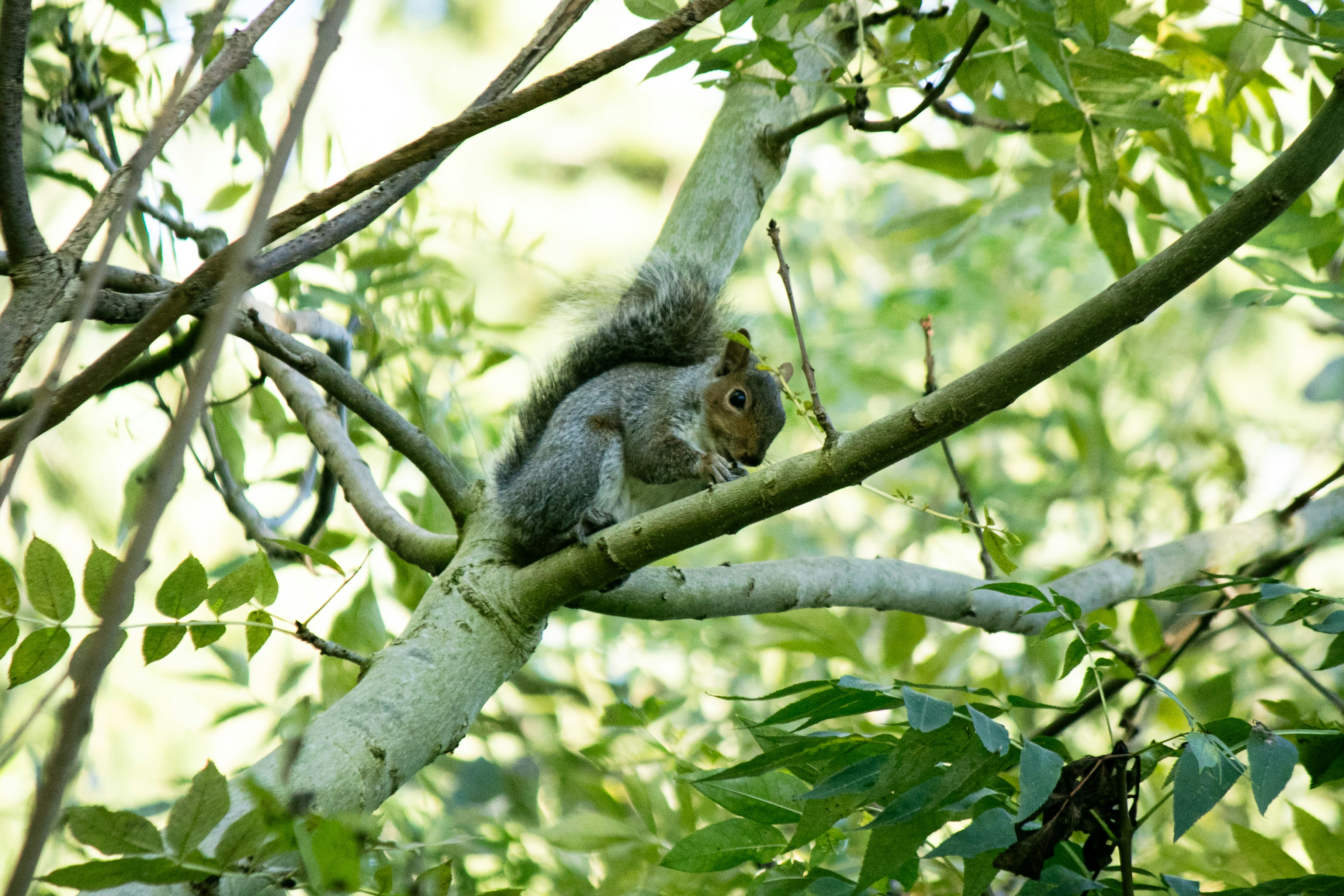 Photo by wlkr_photography