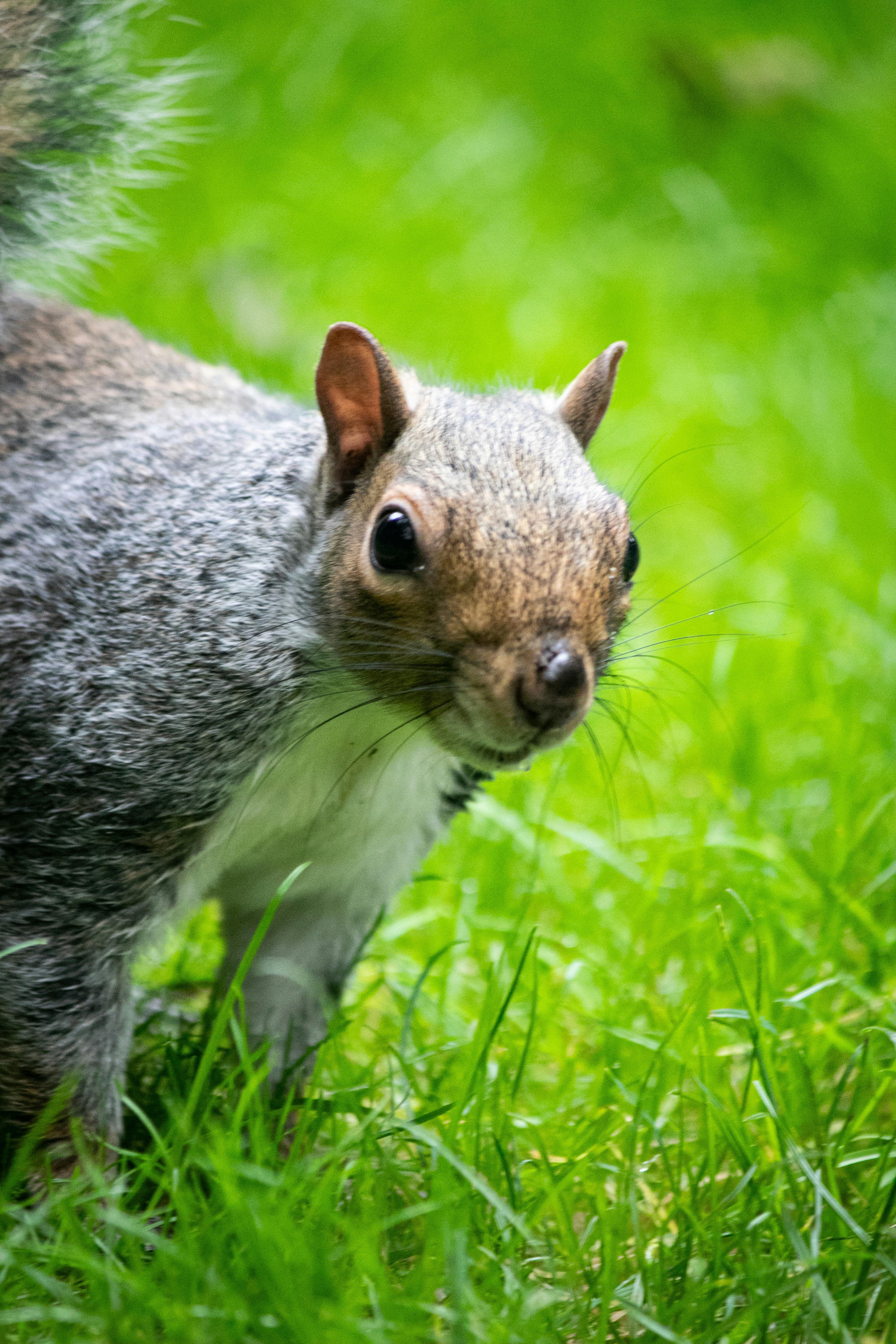 Photo by wlkr_photography