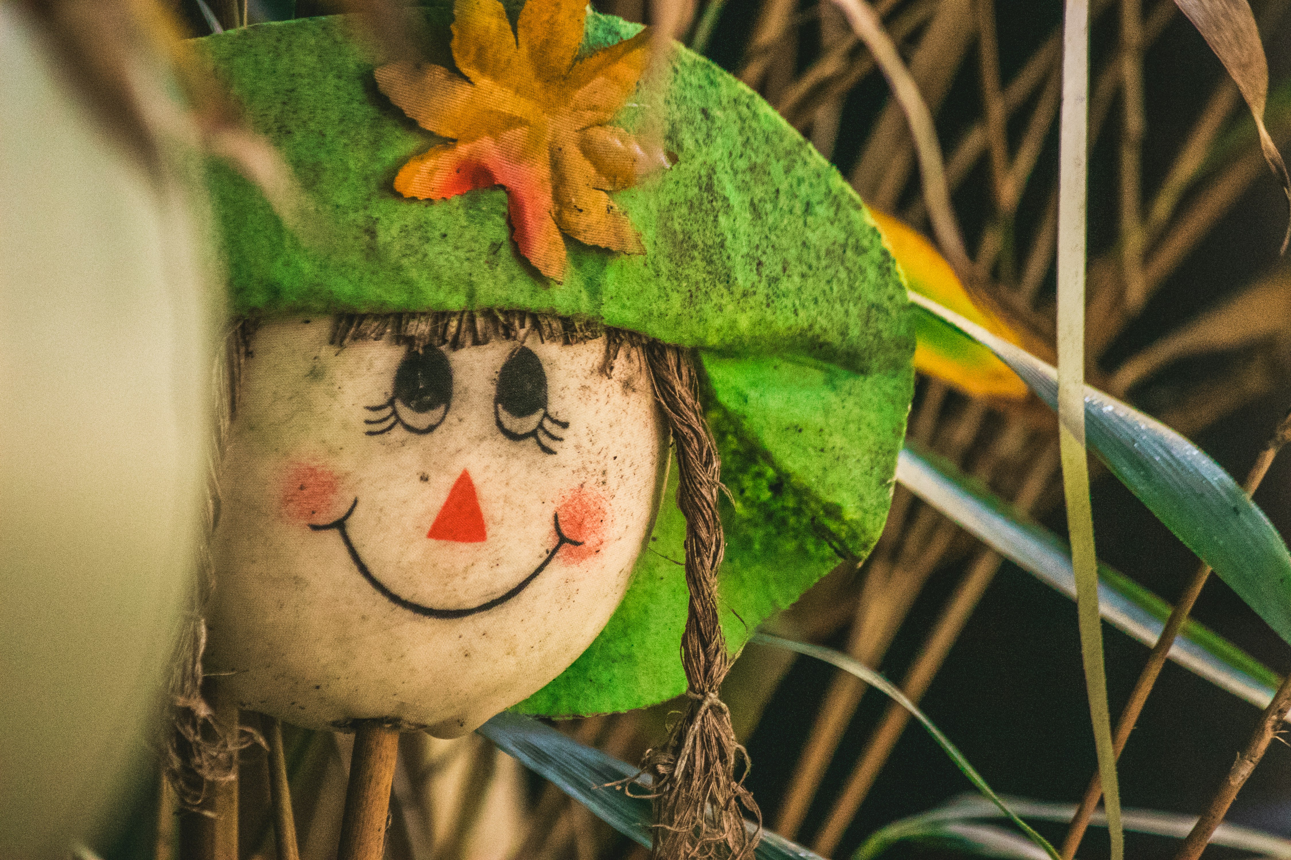 Photo by wlkr_photography