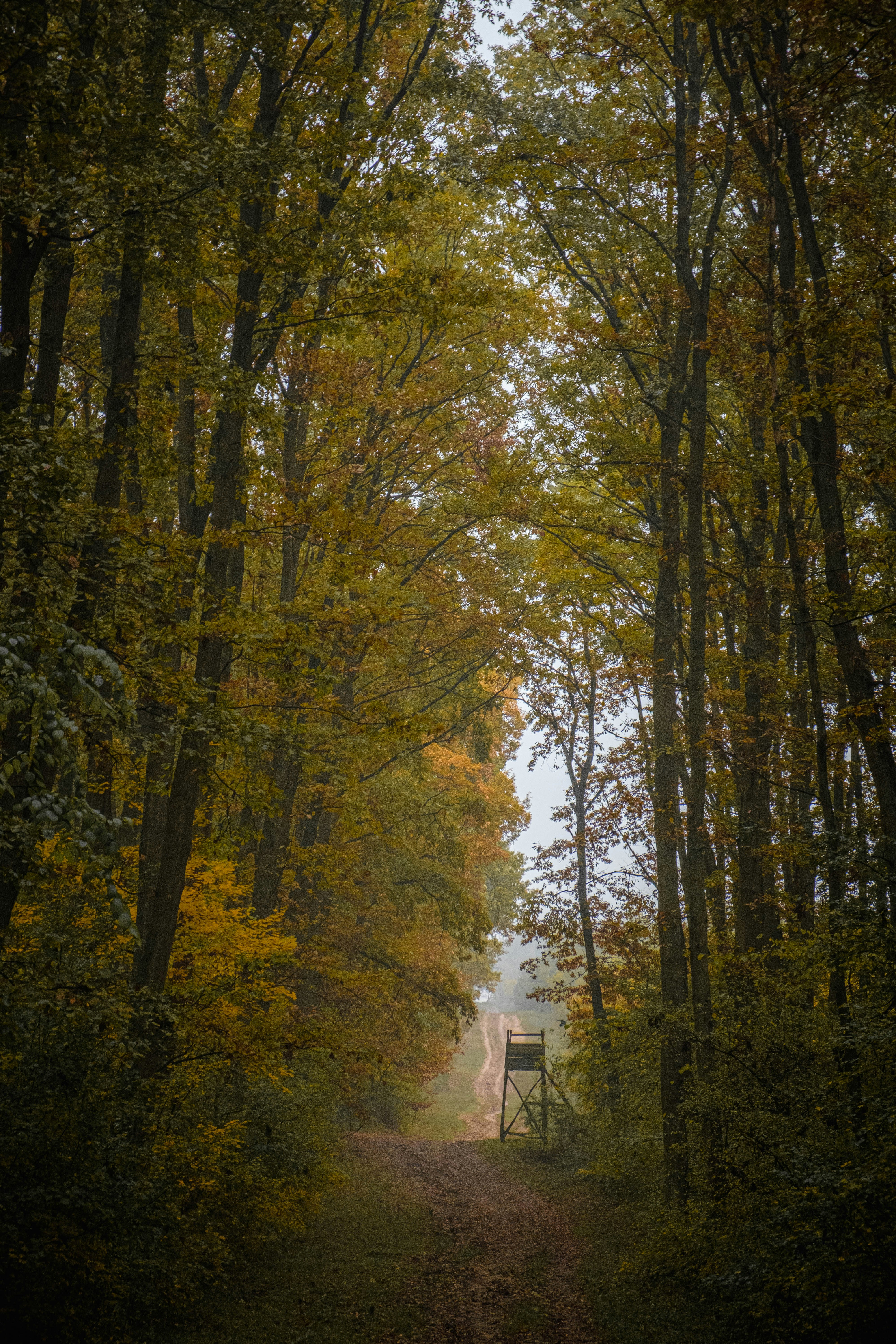 Photo by tulacsucson