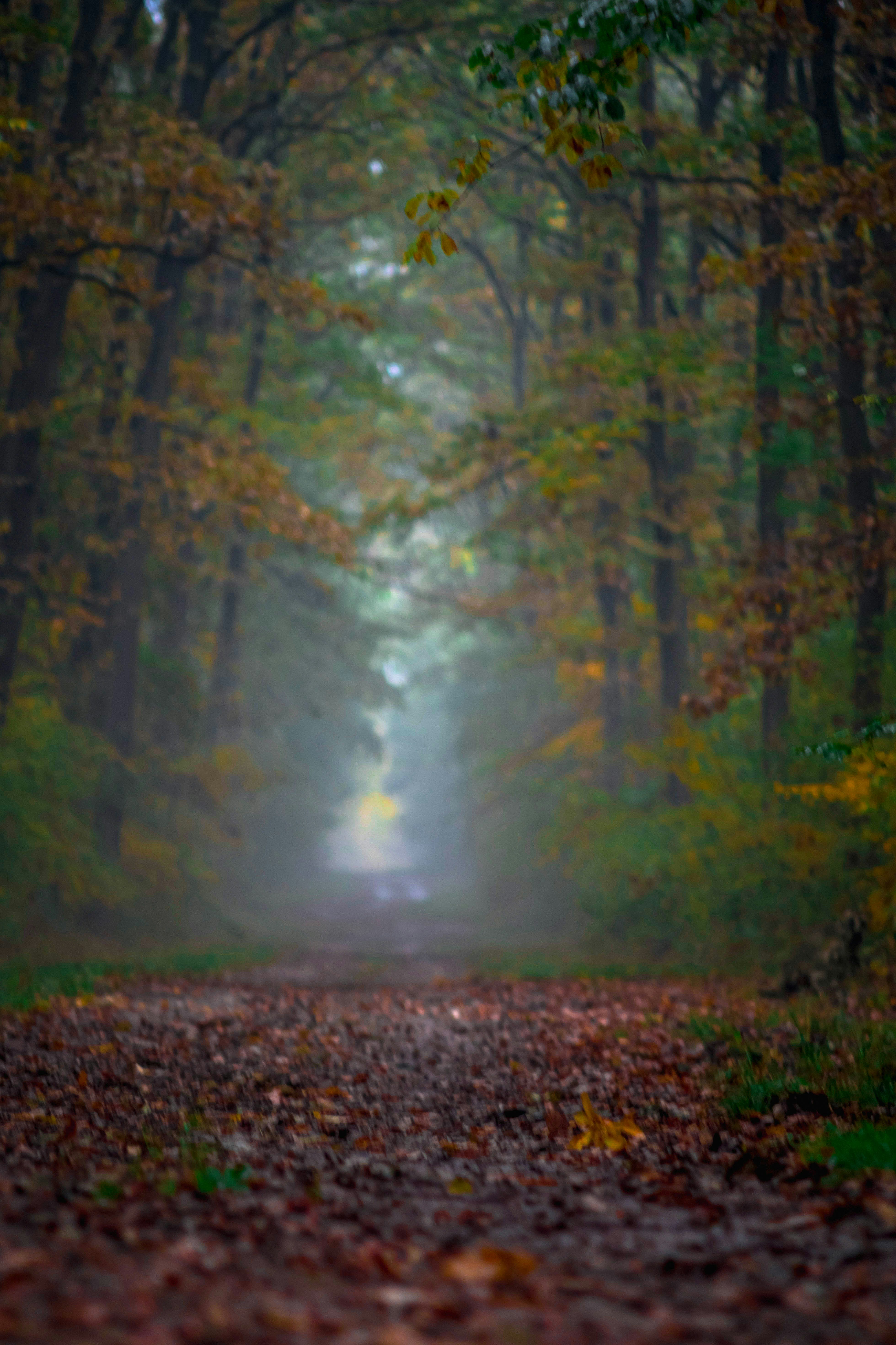 Photo by tulacsucson