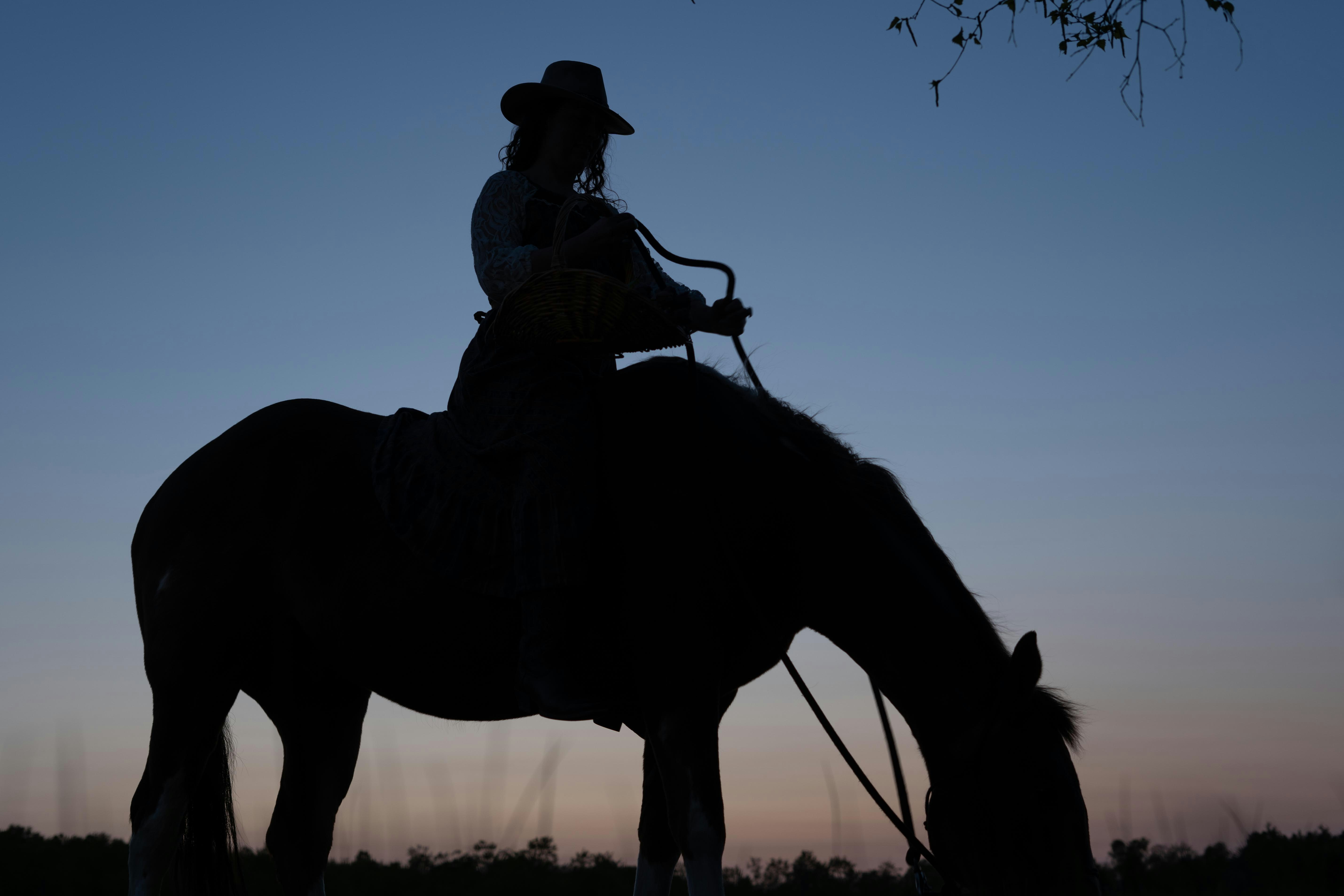 A silhouette of a person riding on the back of a horse