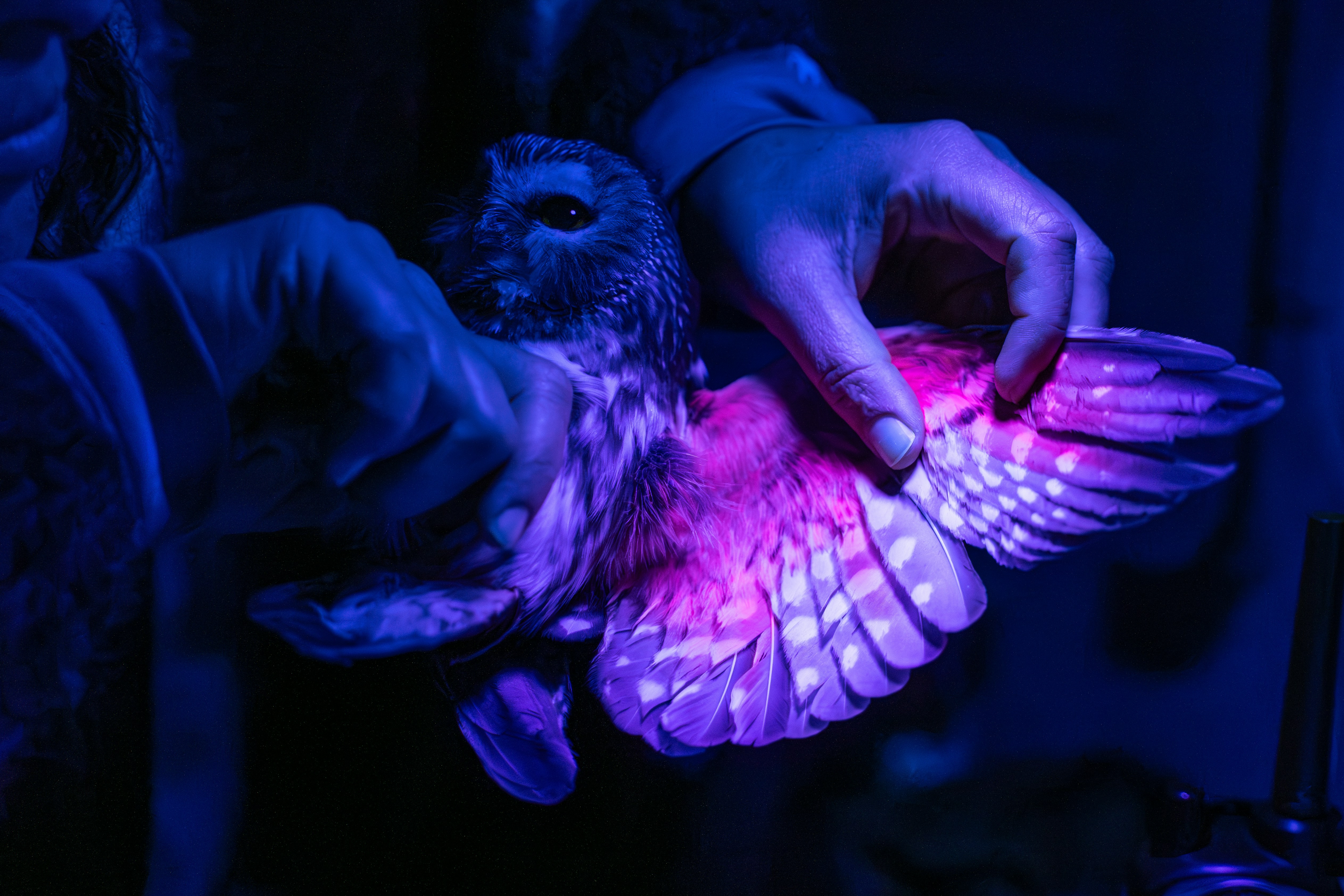 Climate Change Detectives (image credits: unsplash)