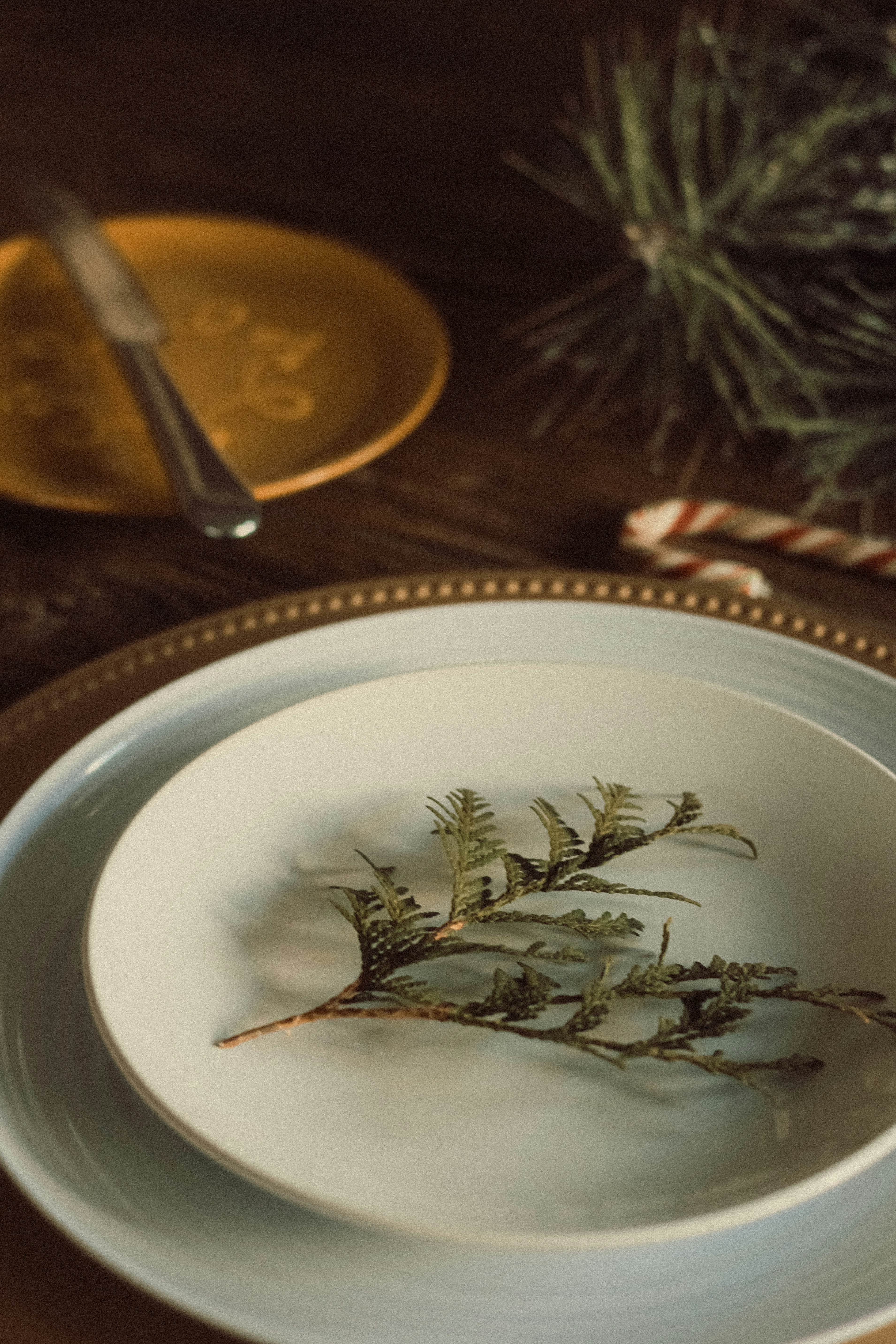 Photo by linusbelanger