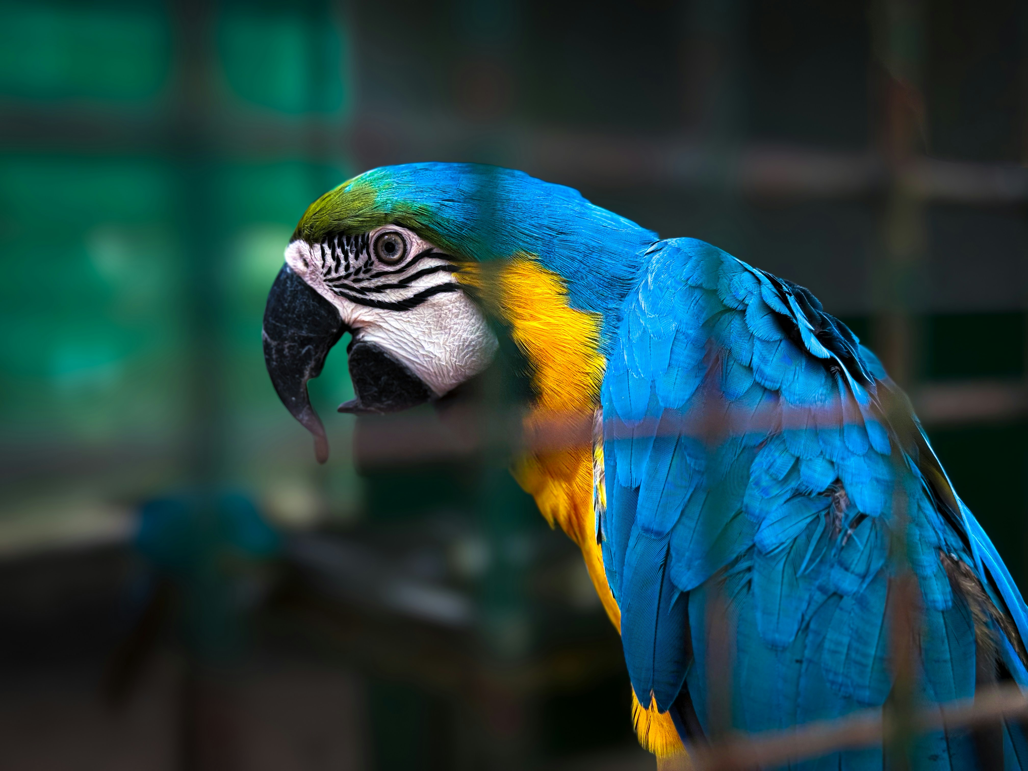 Photo by tirthjivani