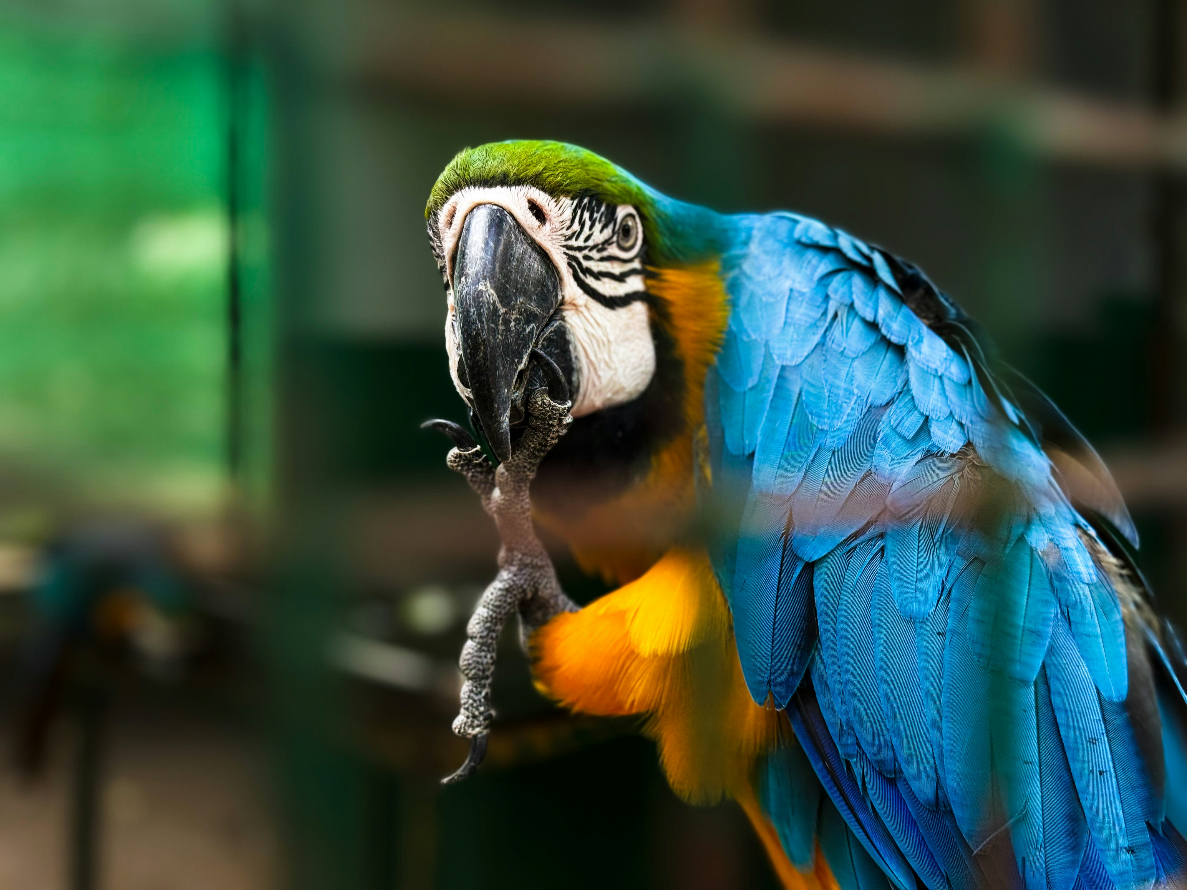 Photo by tirthjivani