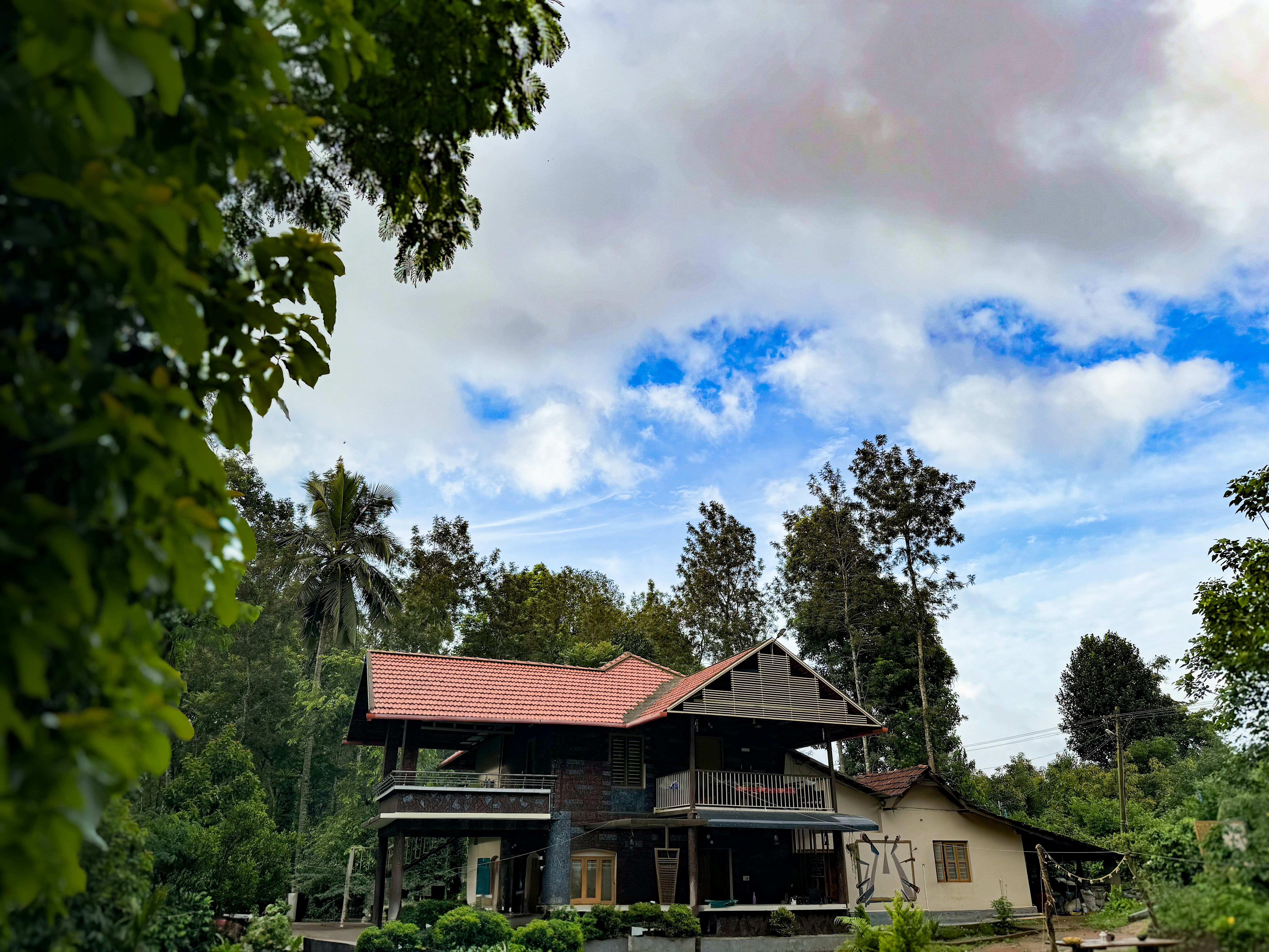 A house in the middle of a wooded area