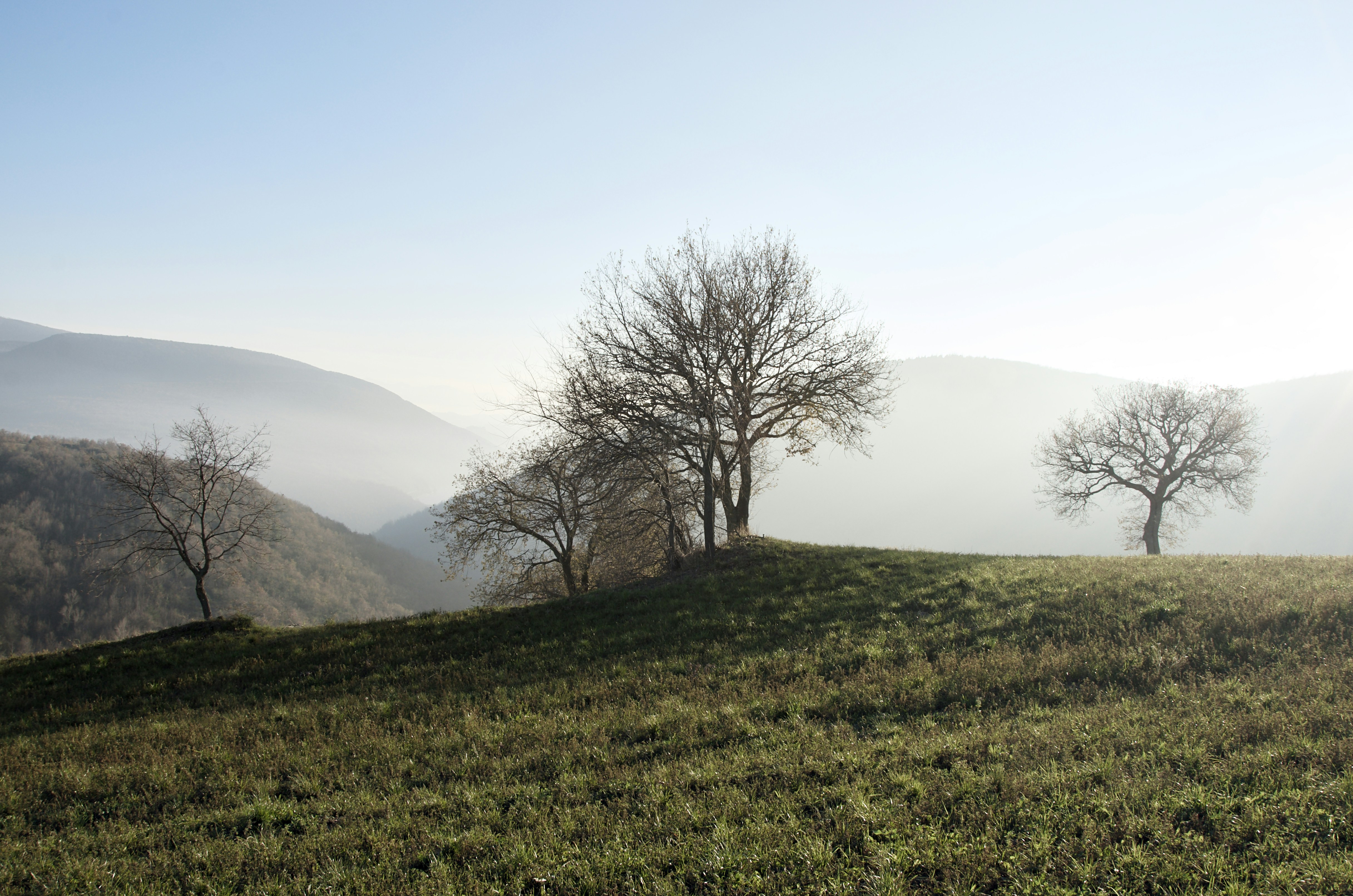 Photo by mariobeducci