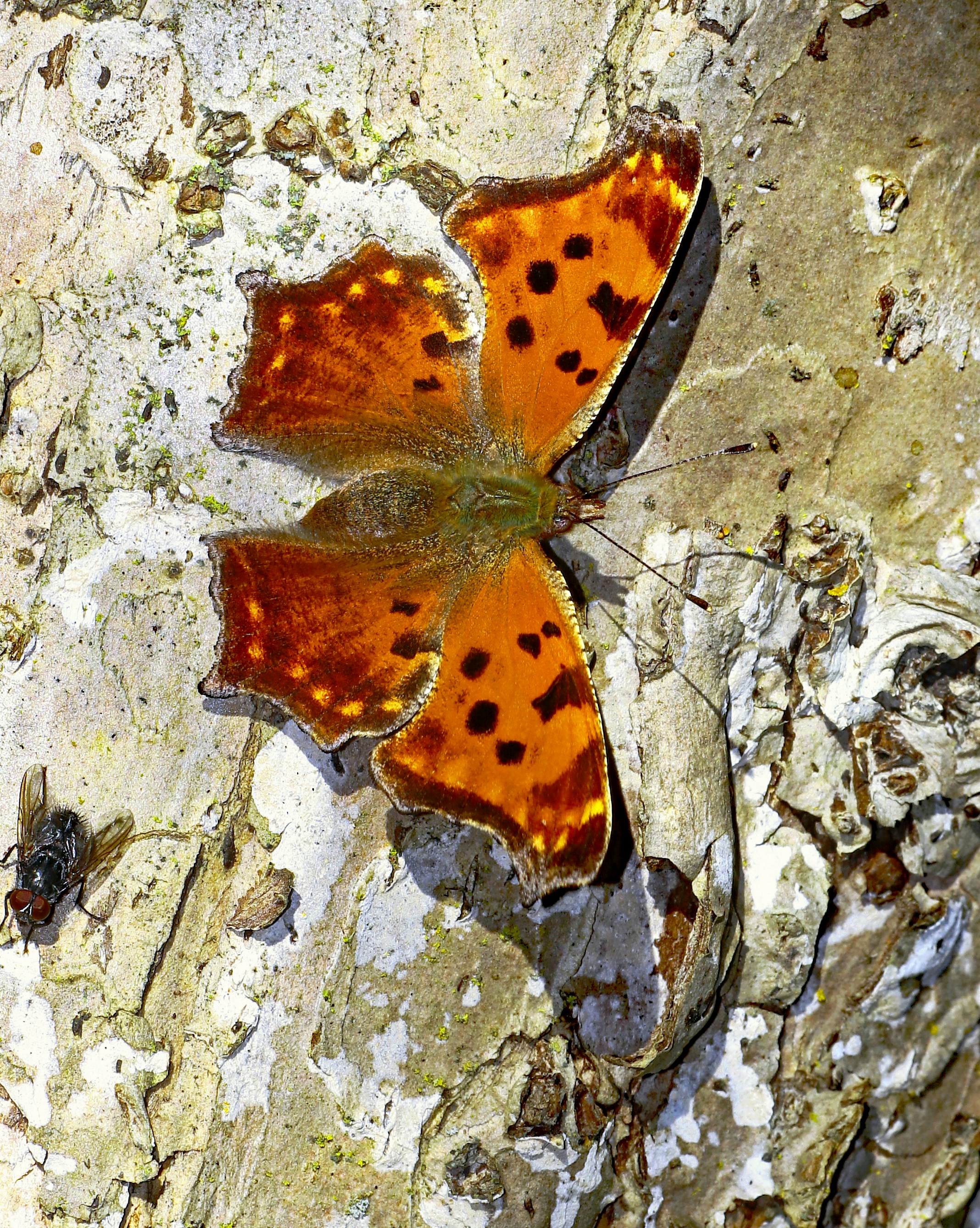 Photo by telliottmbamsc