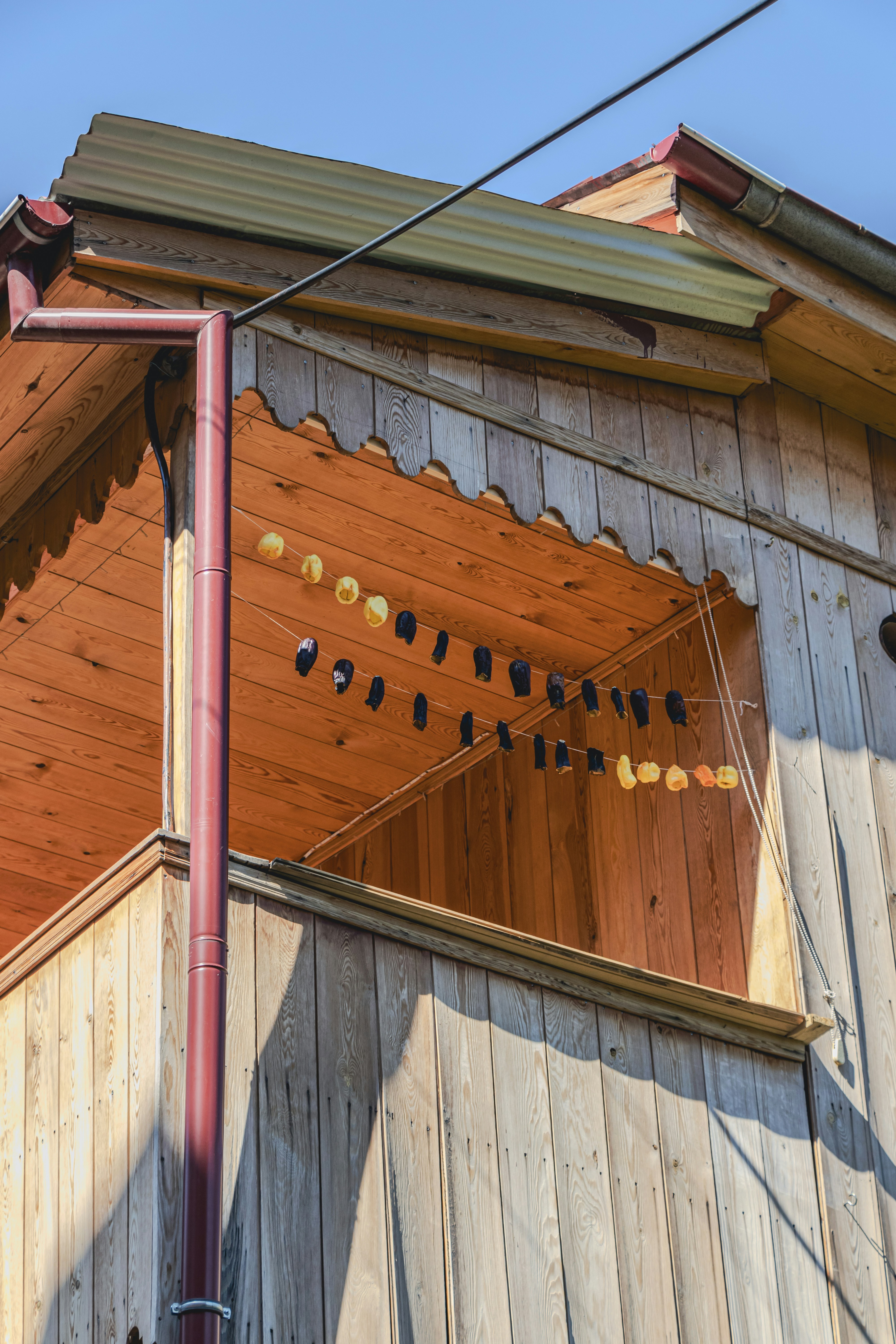 Photo by burakbasgoze