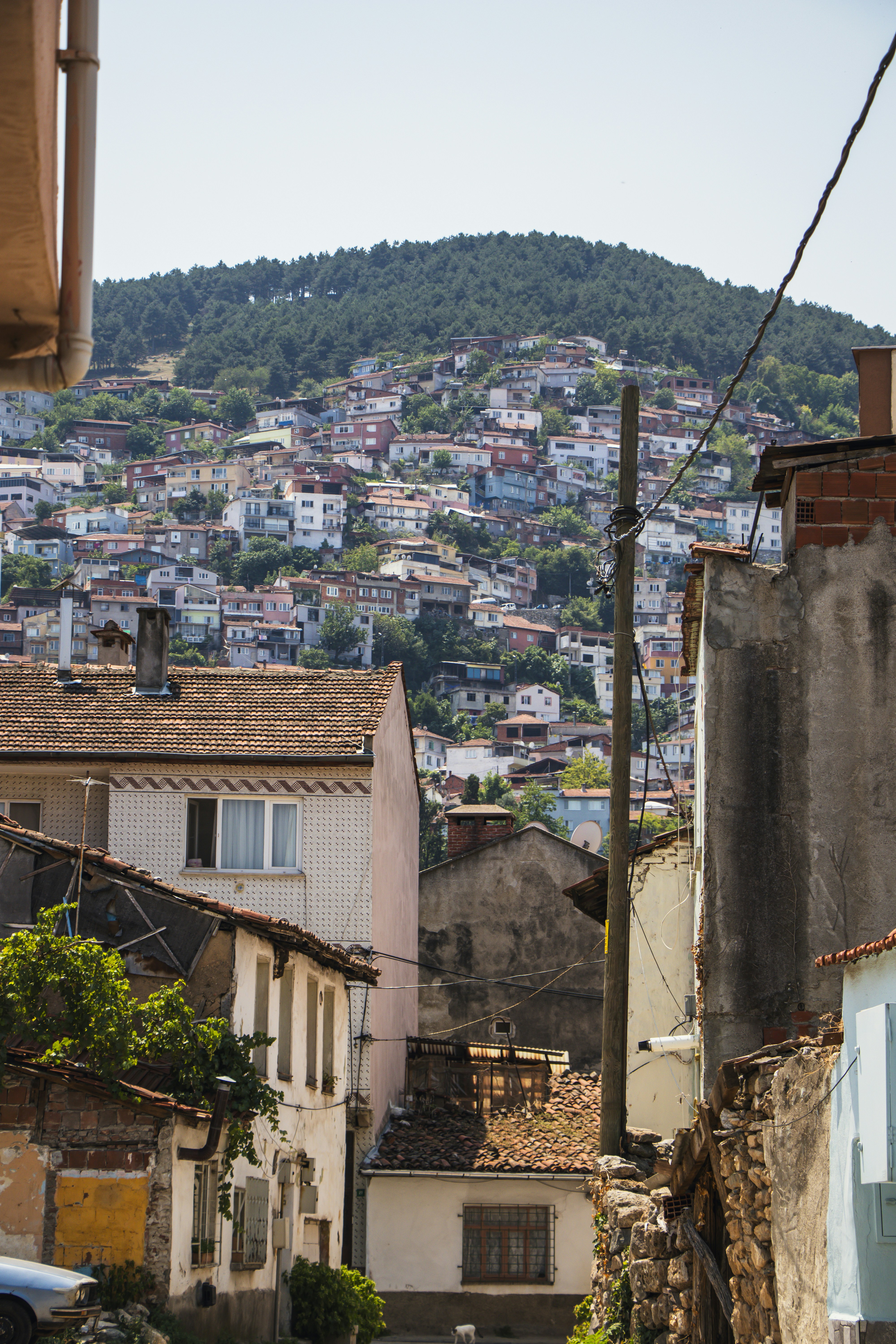 Photo by burakbasgoze