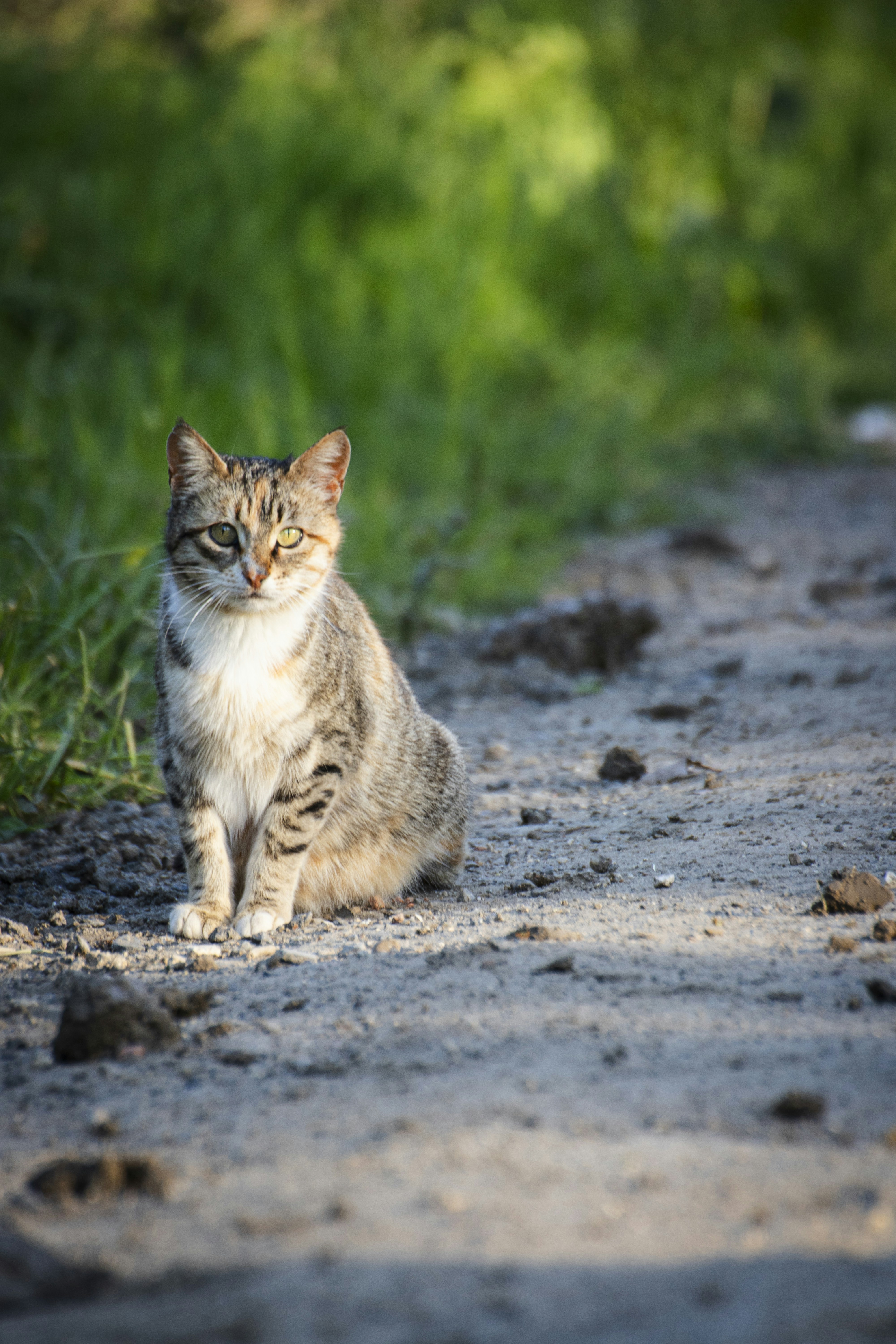 Photo by burakbasgoze