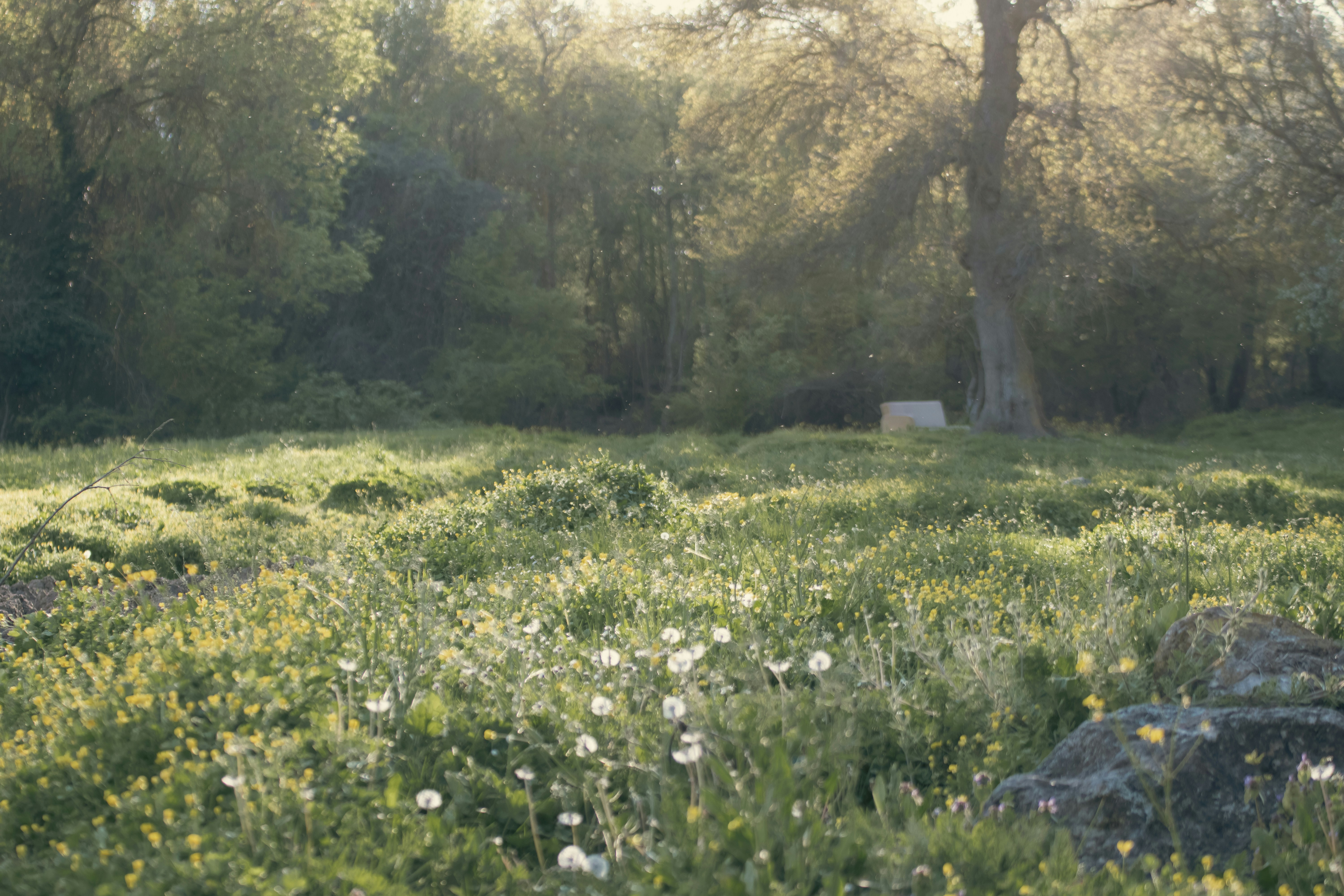 Photo by burakbasgoze