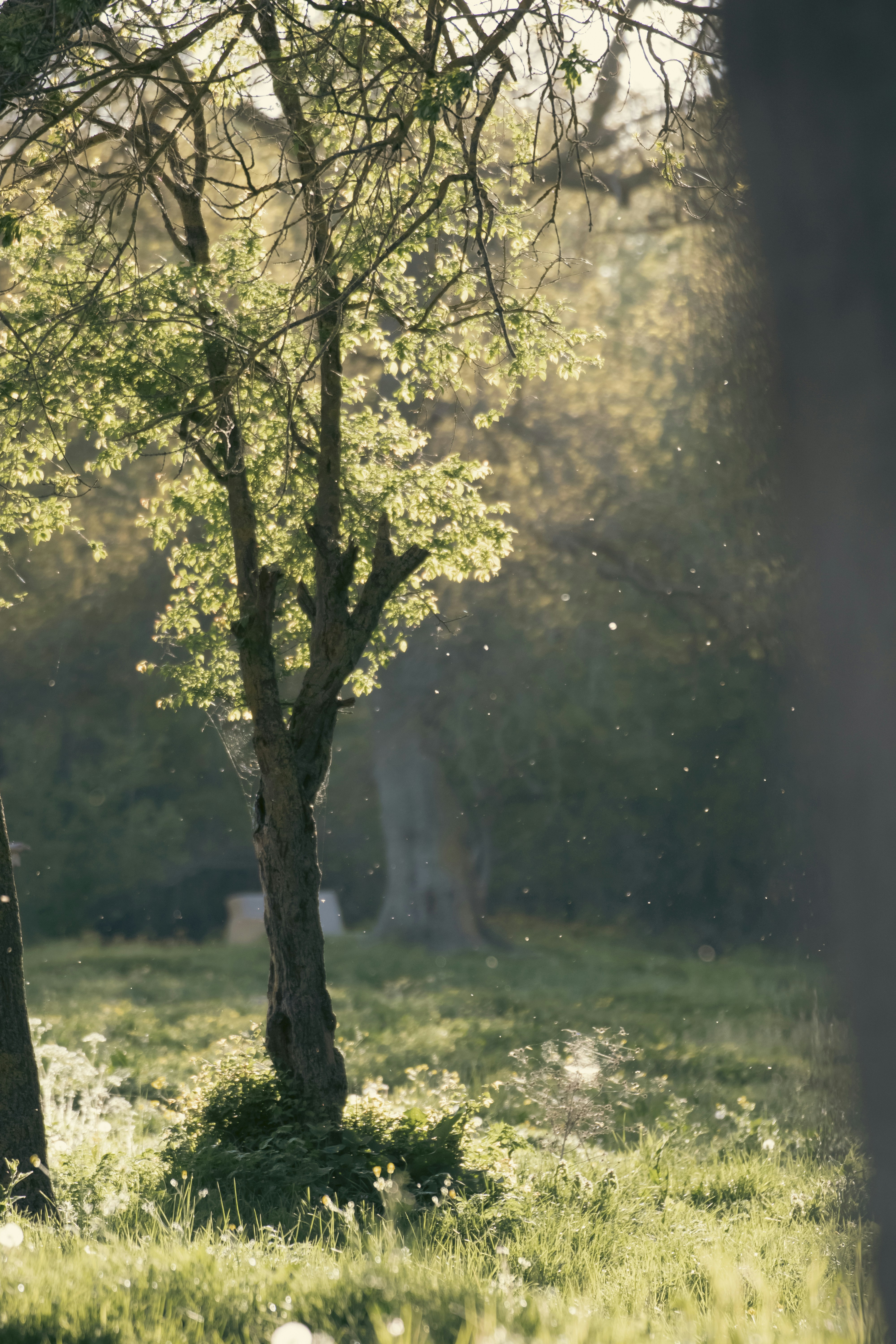 Photo by burakbasgoze