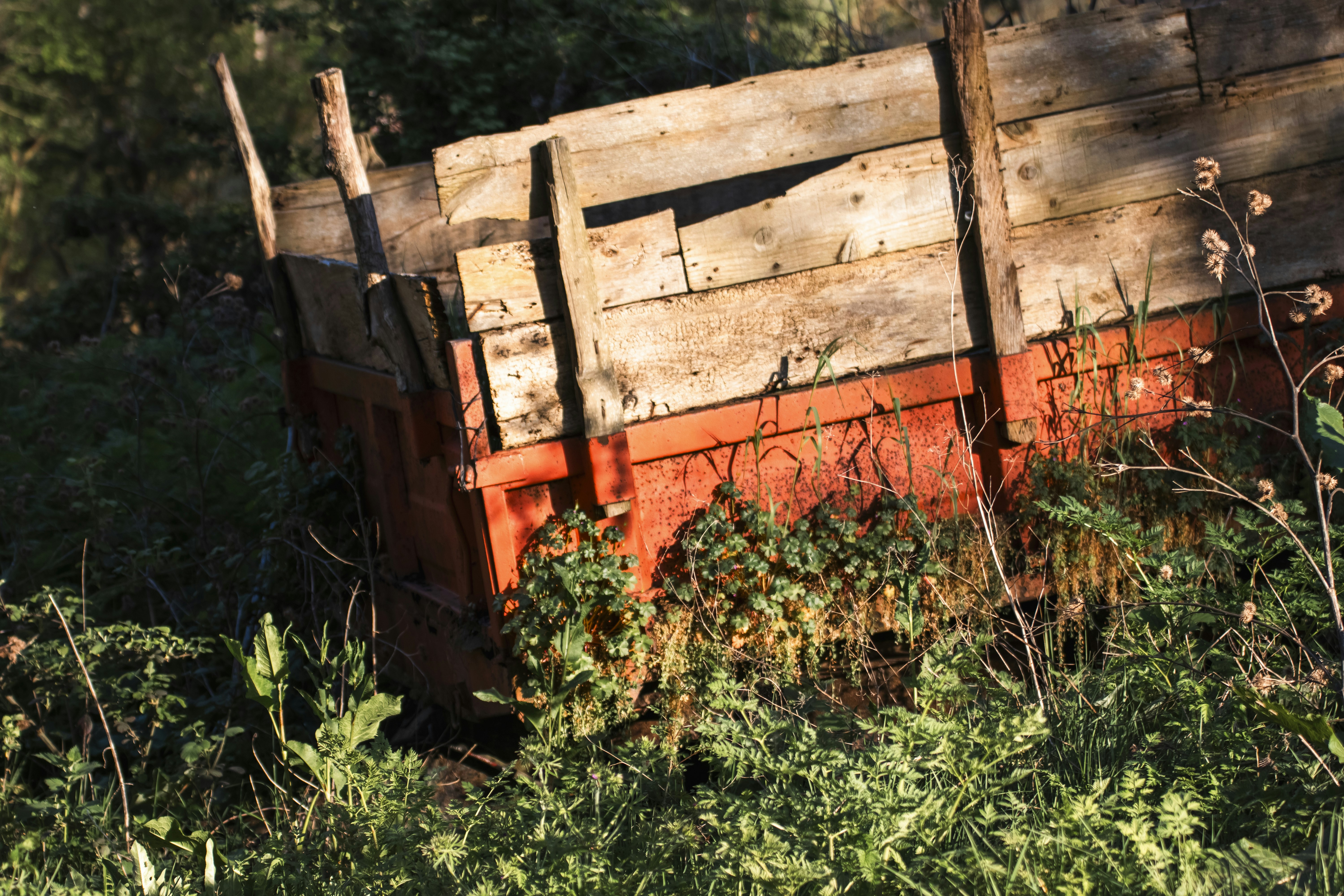 Photo by burakbasgoze