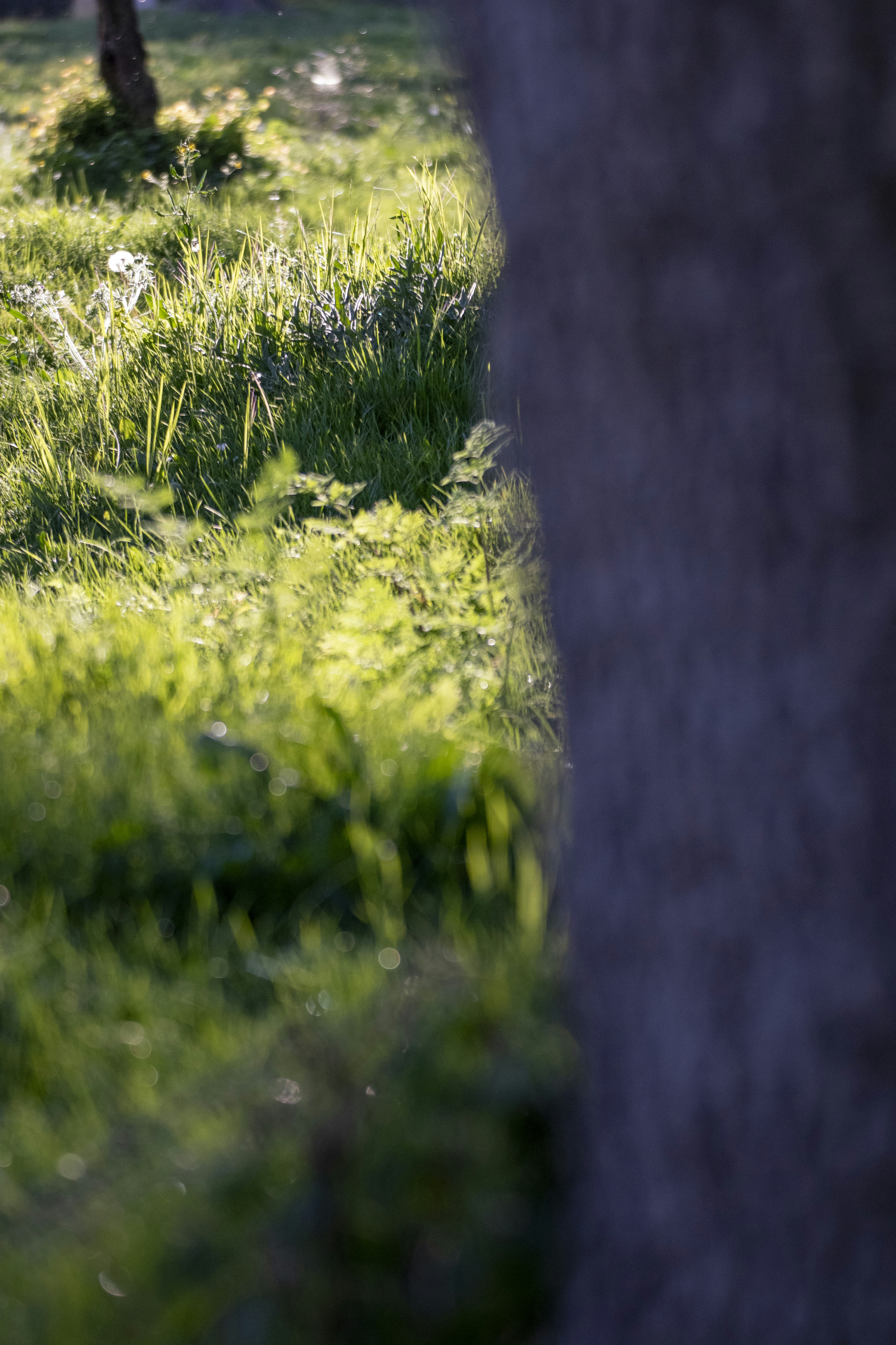 Photo by burakbasgoze