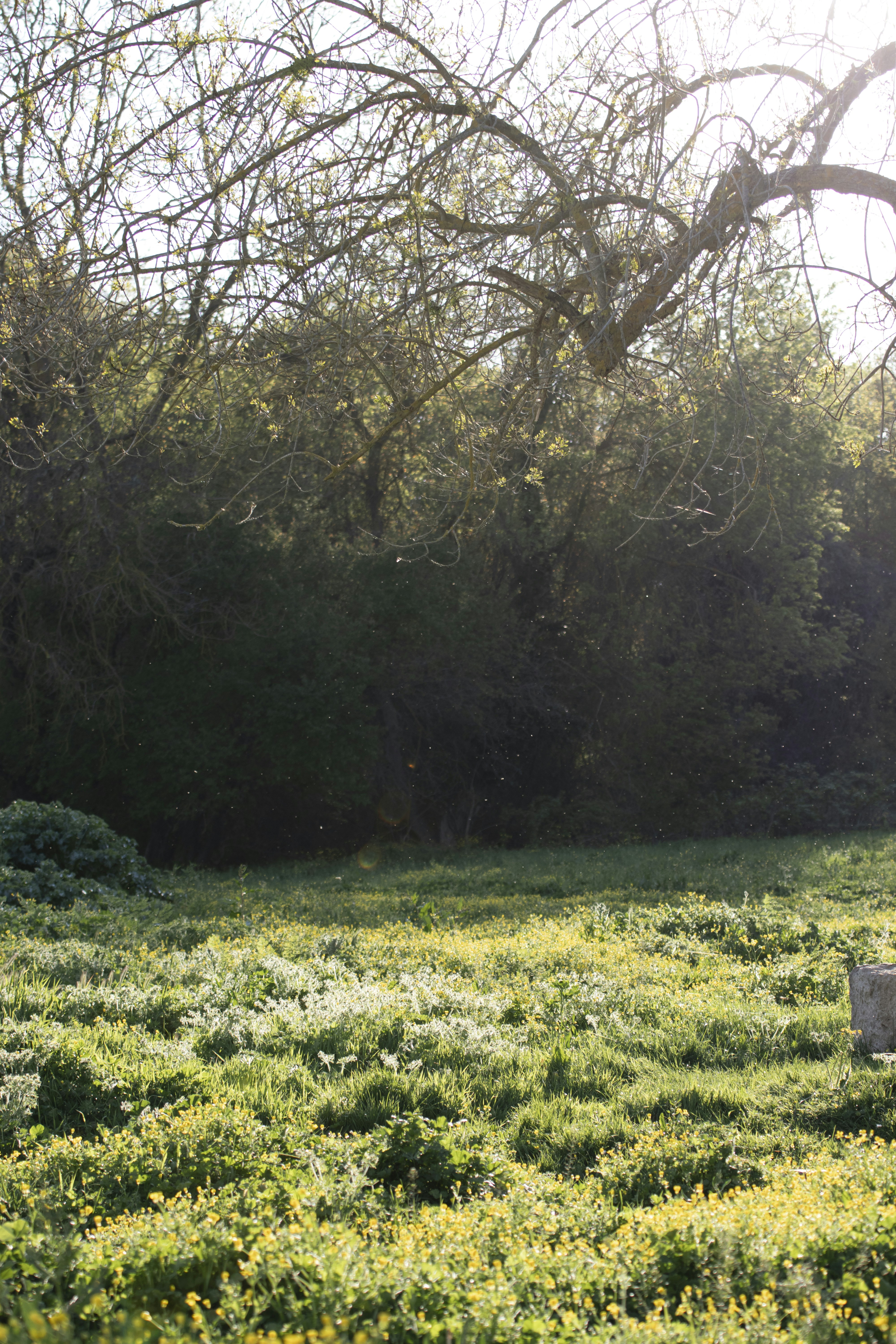 Photo by burakbasgoze