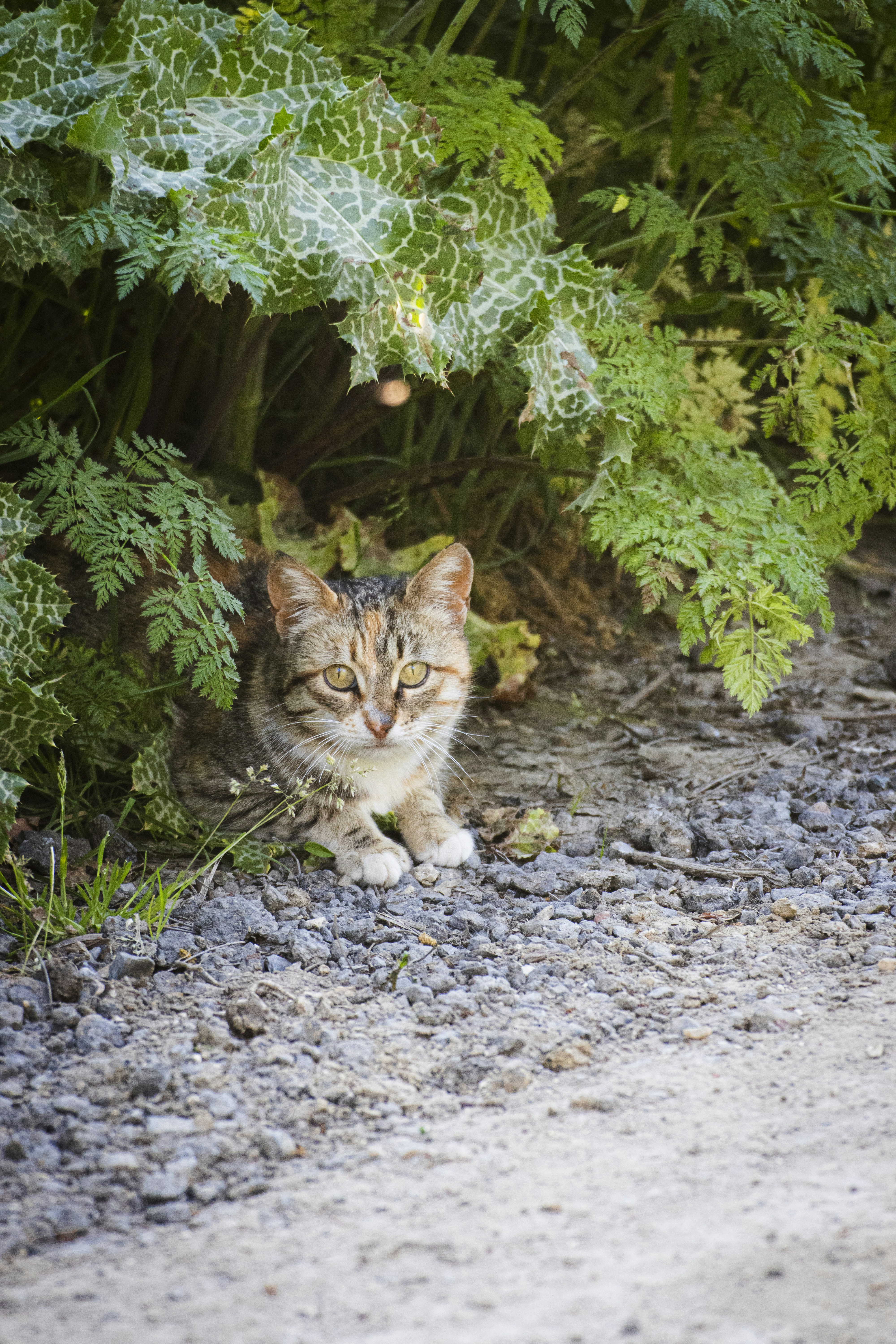 Photo by burakbasgoze
