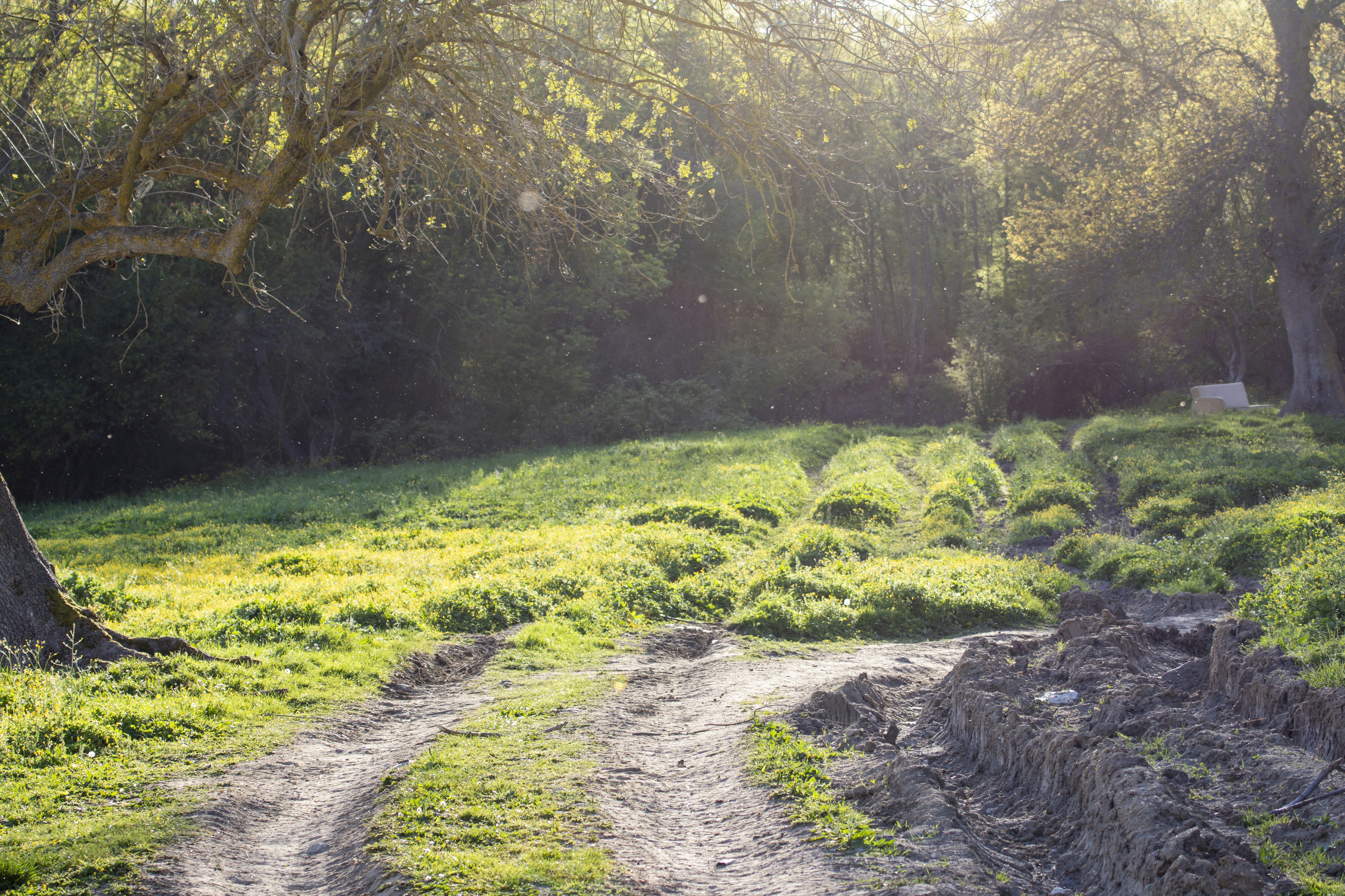 Photo by burakbasgoze