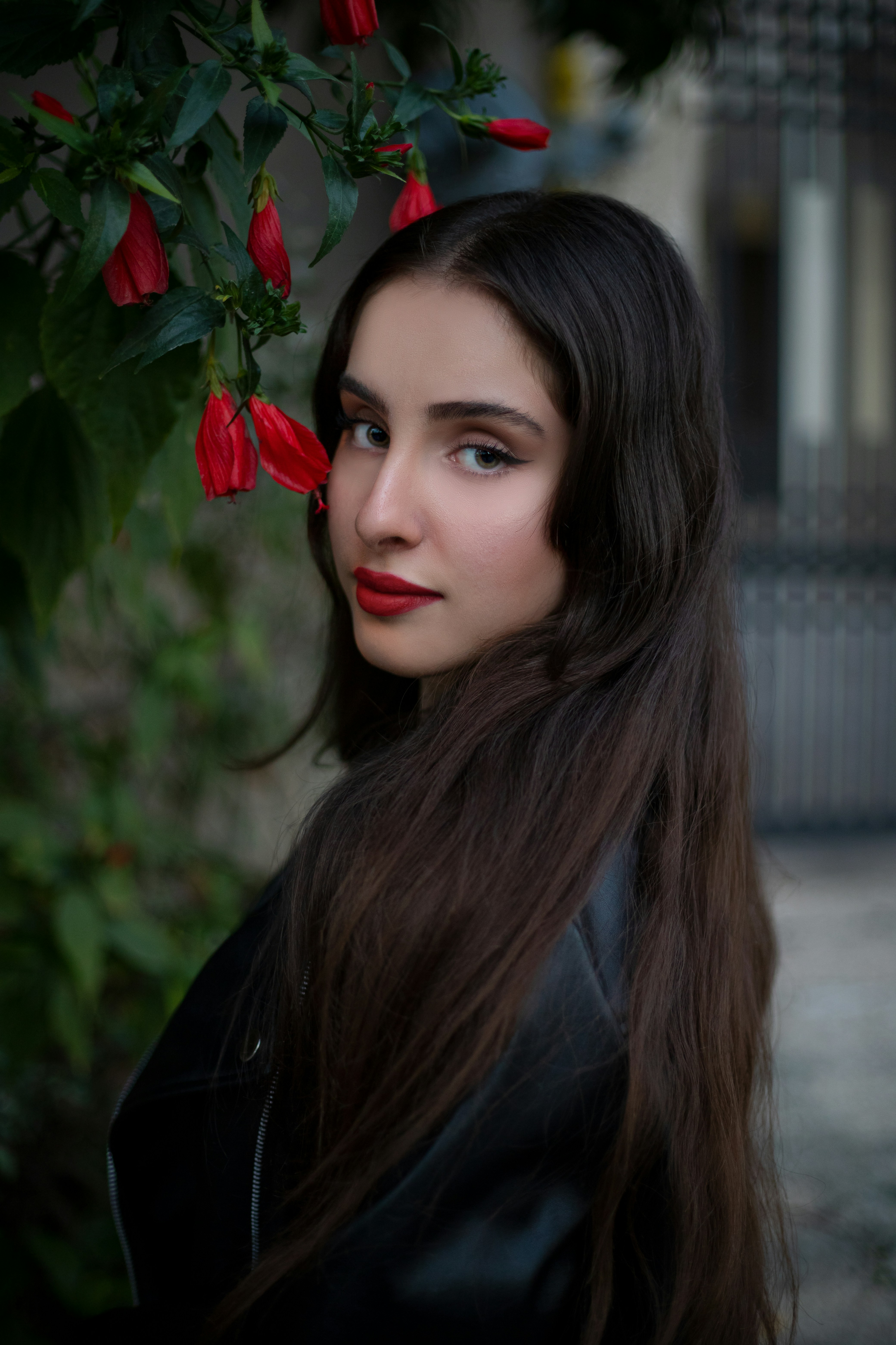 Photo by amirabbaspoor