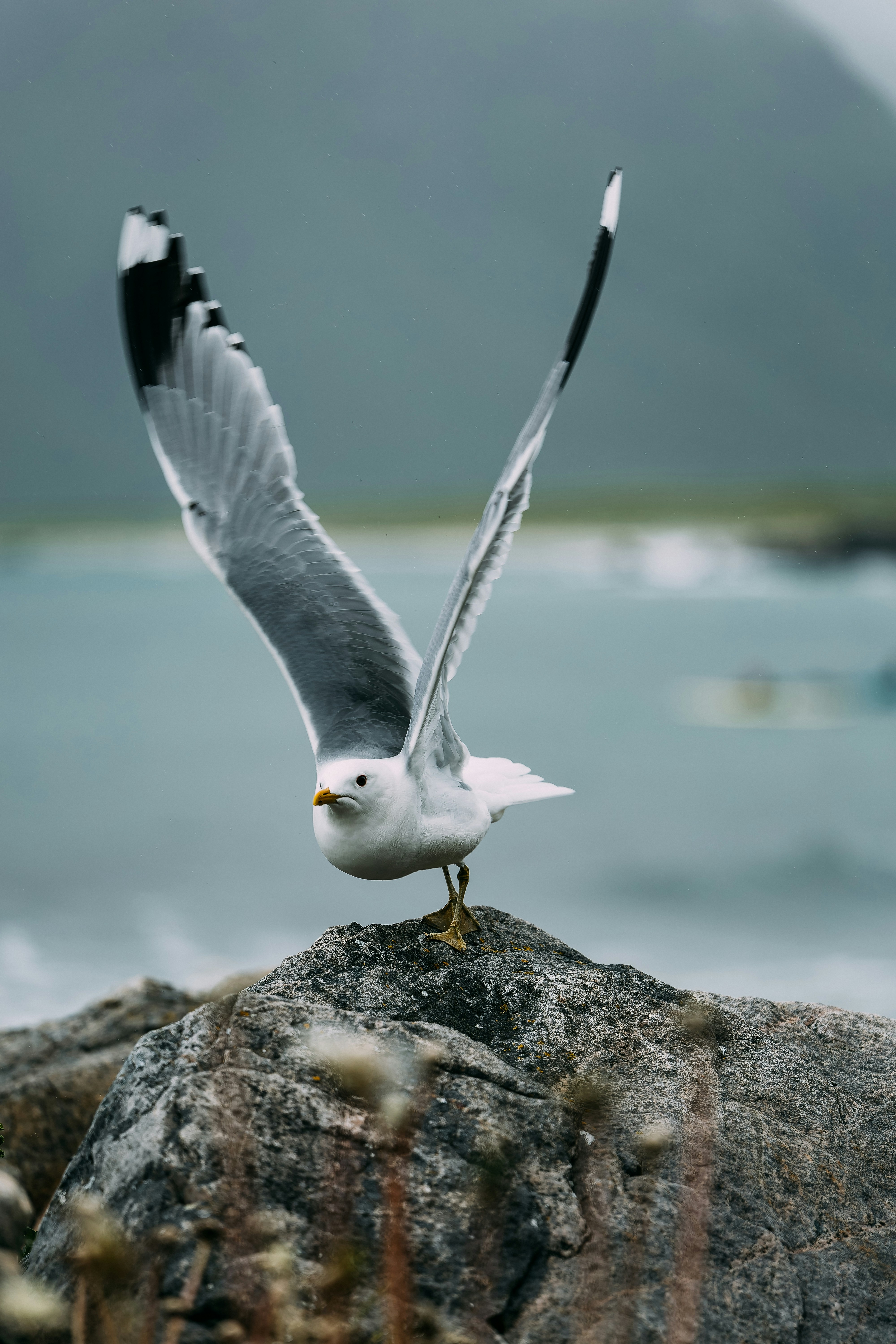 A seagull is flying over a rock by the ocean