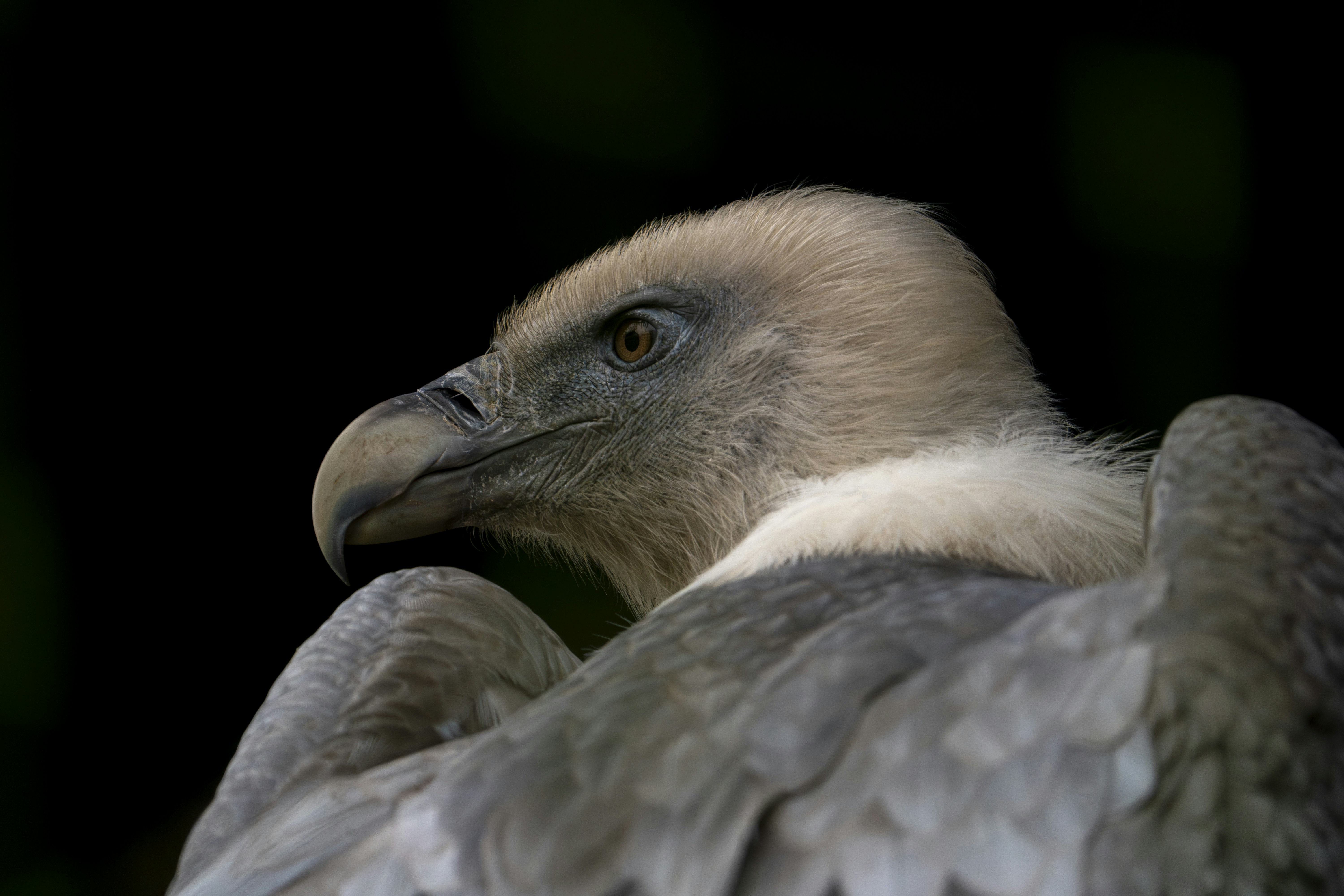 Photo by breadcrumbs