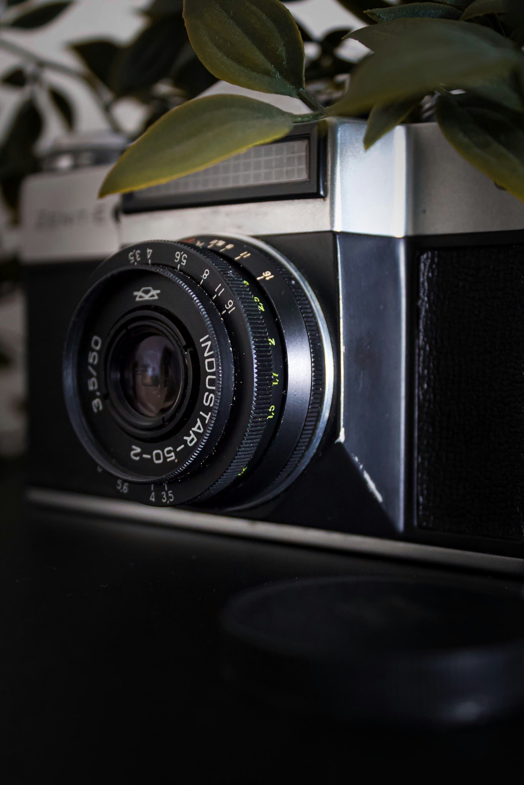 Photo by mihaelstojcevic