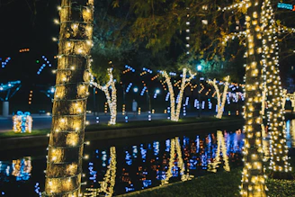A row of palm trees sitting next to a body of water