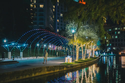 The Woodlands car service
