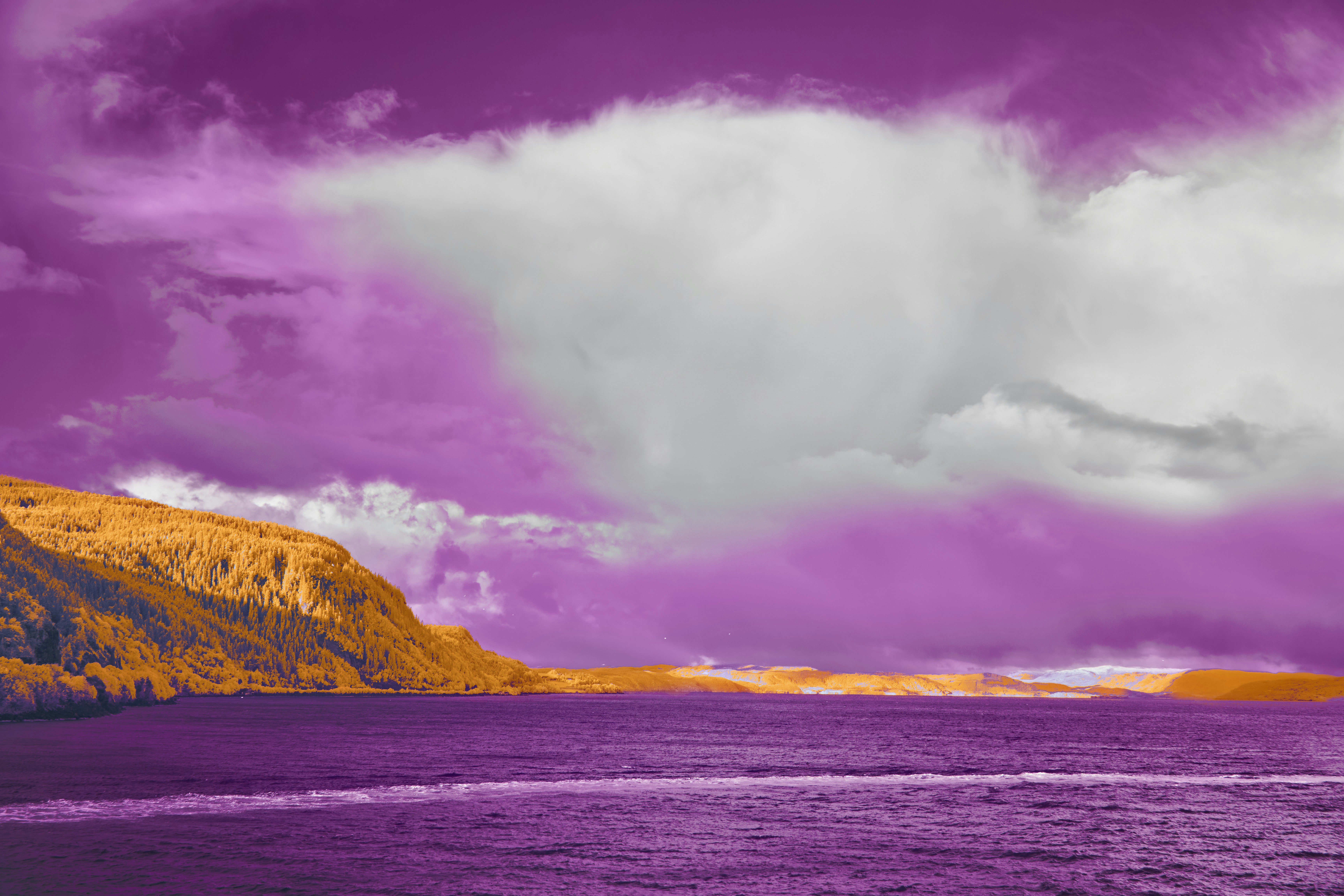 Photo by wolfgang_hasselmann